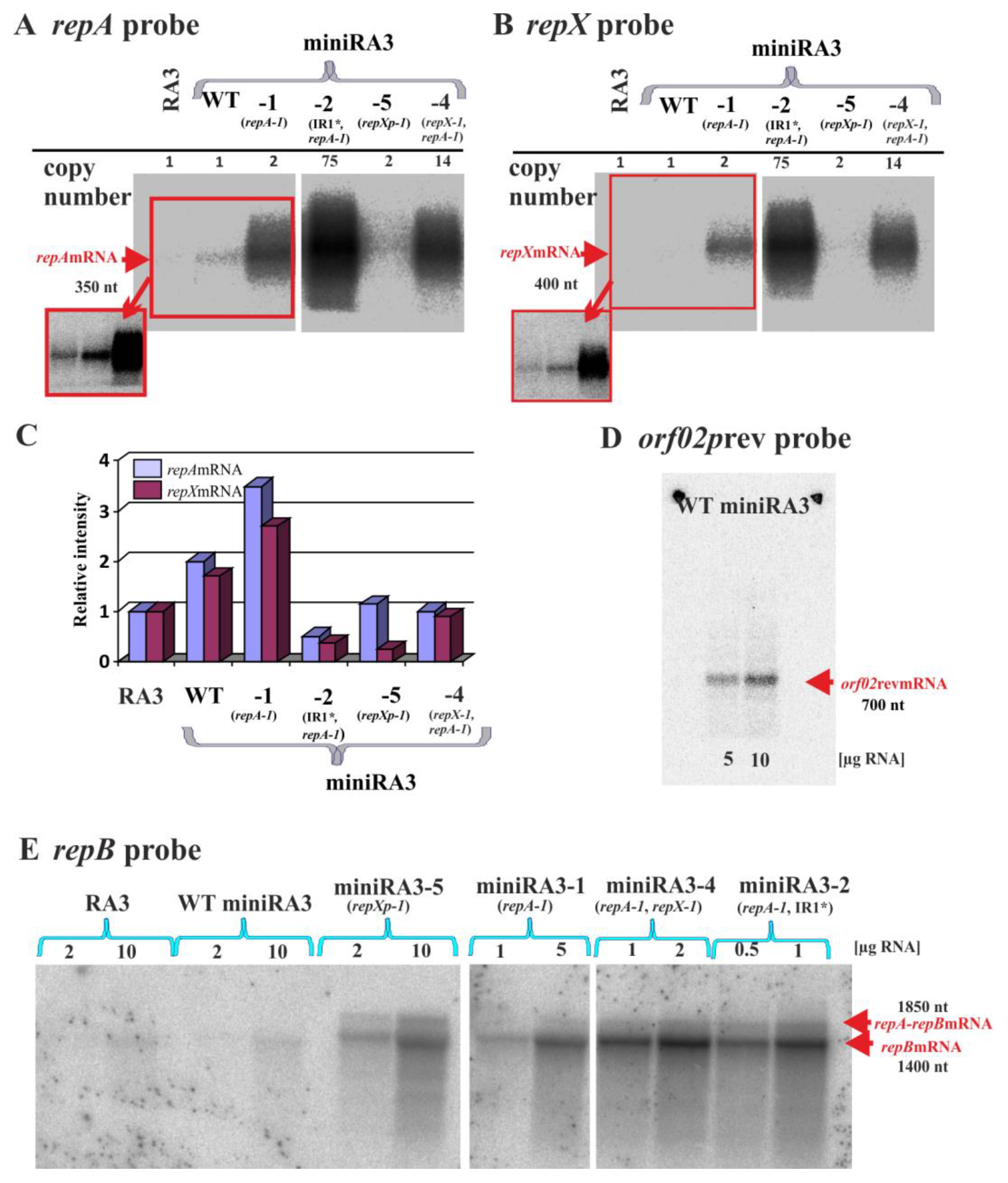 Ijms 23 09964 g007 Ijms 23 09964 g007