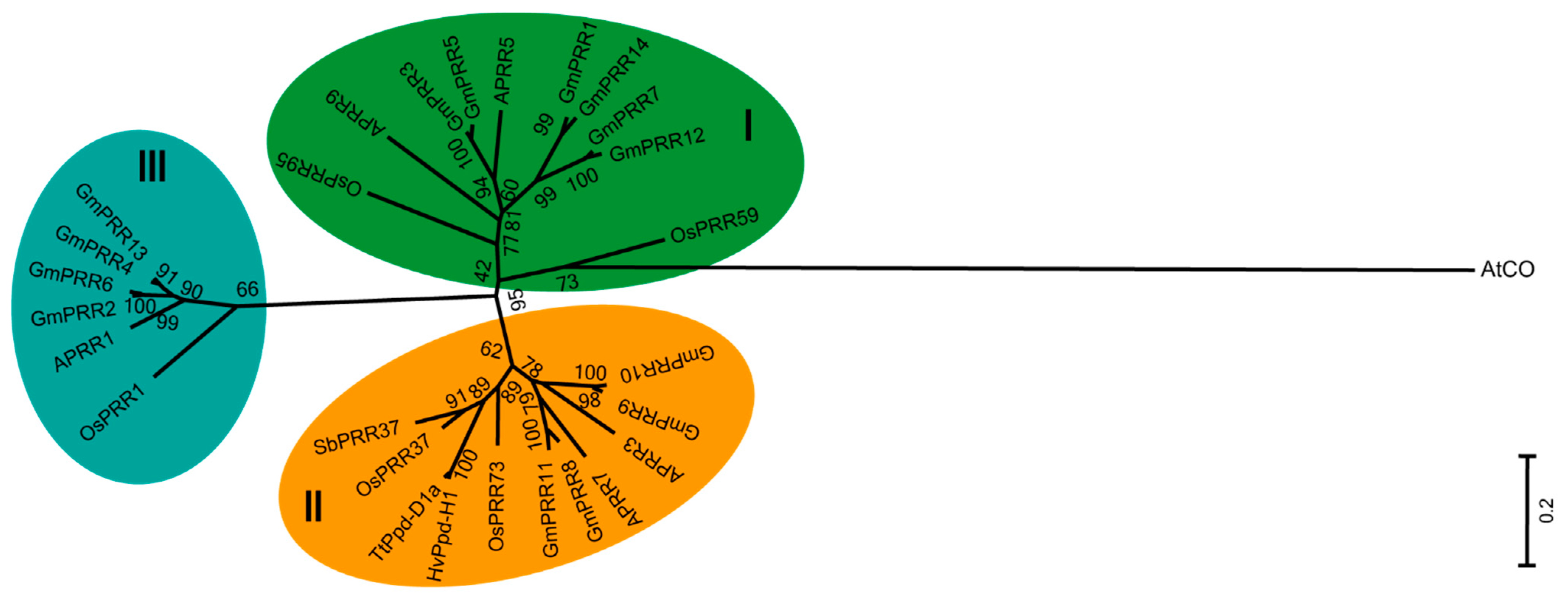 Ijms 23 09970 g001 550