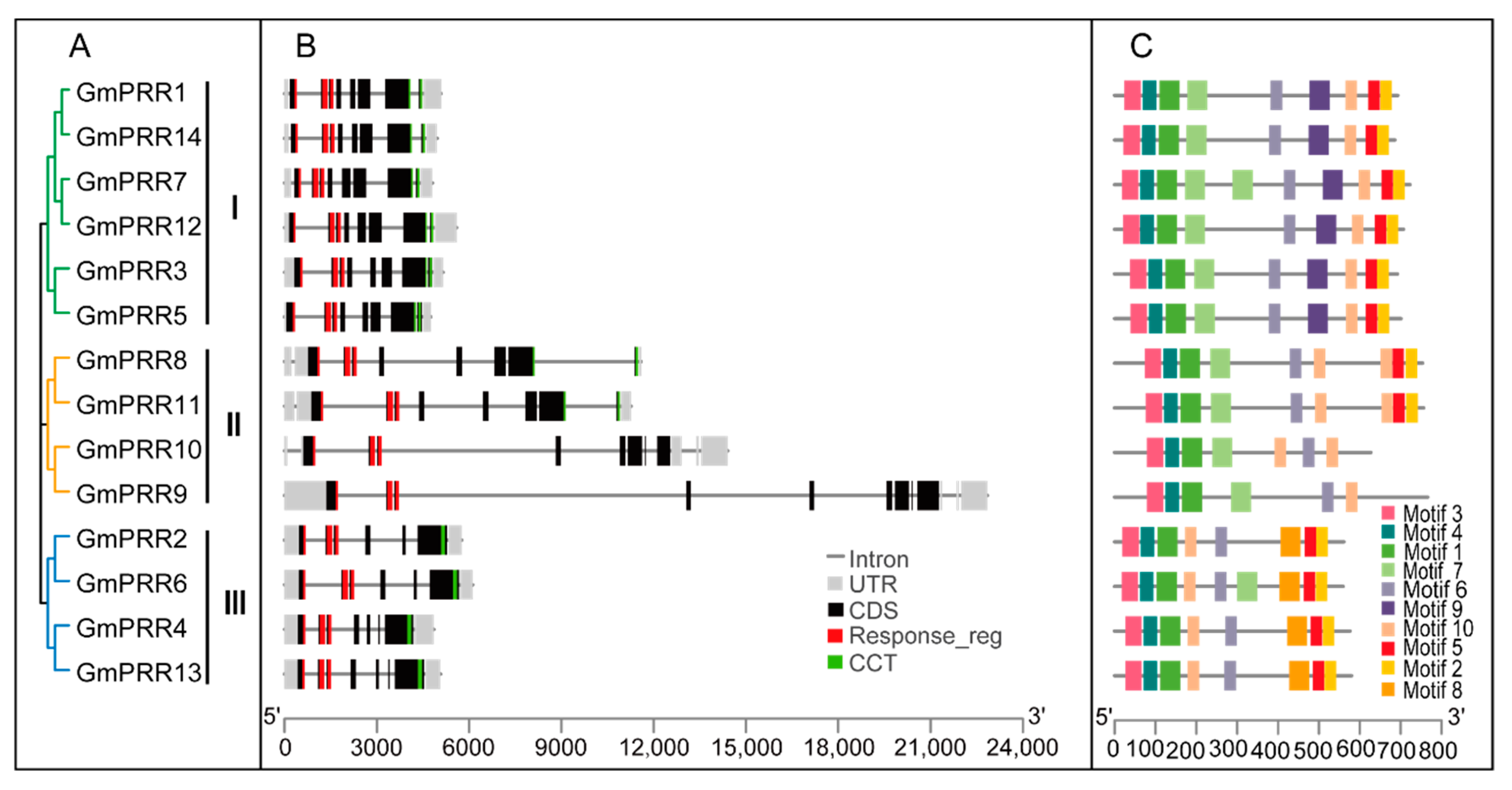 Ijms 23 09970 g002 550