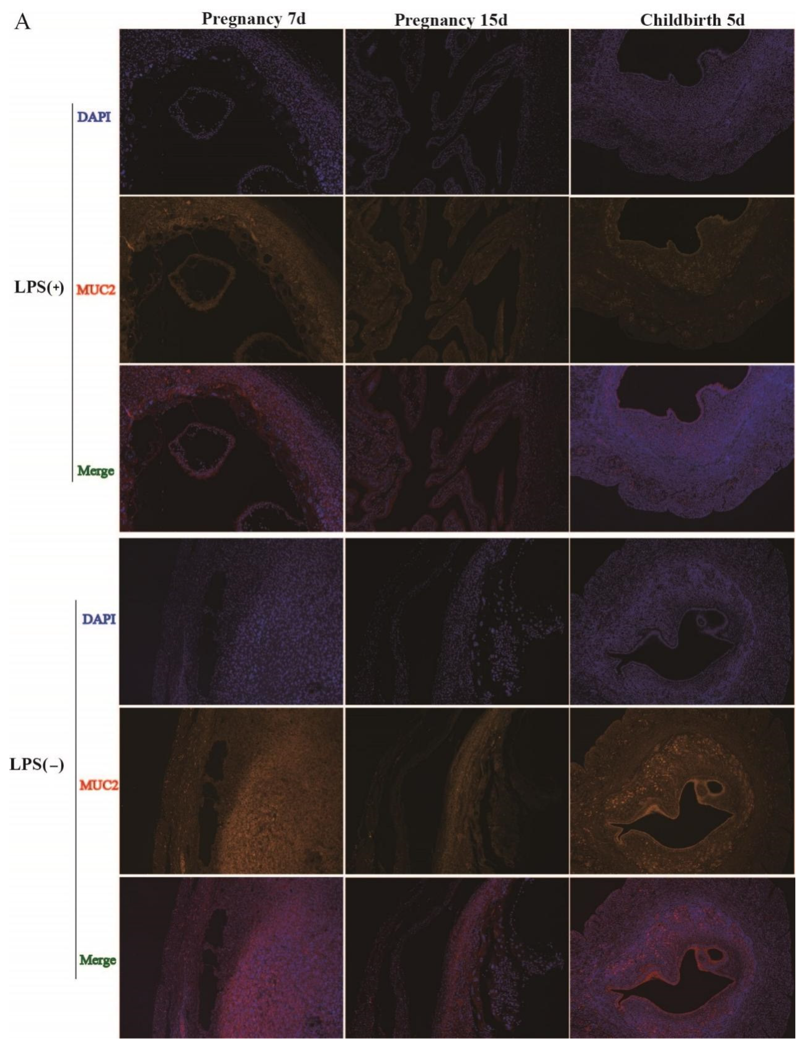 Ijms 23 09972 g002a 550