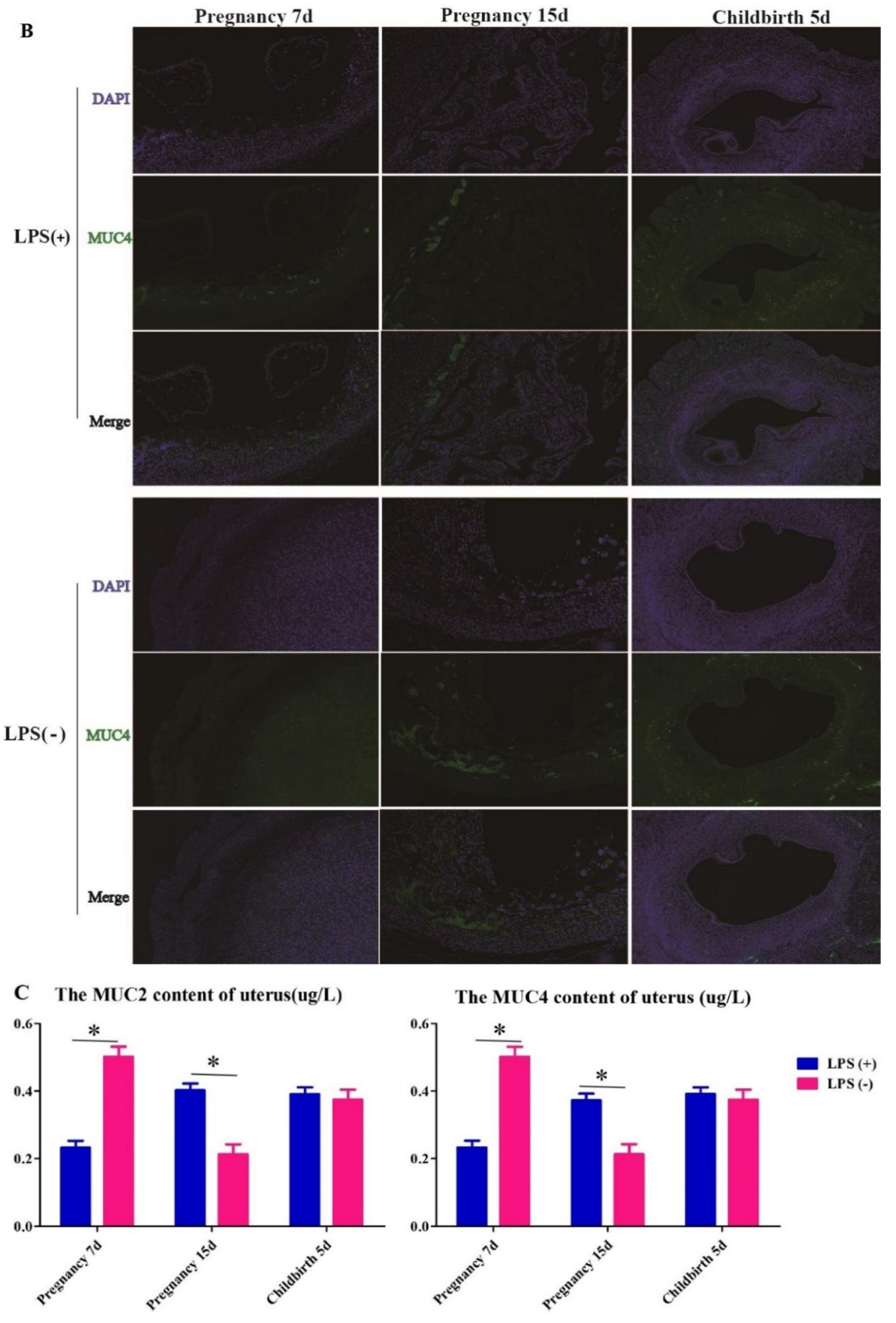 Ijms 23 09972 g002b 550