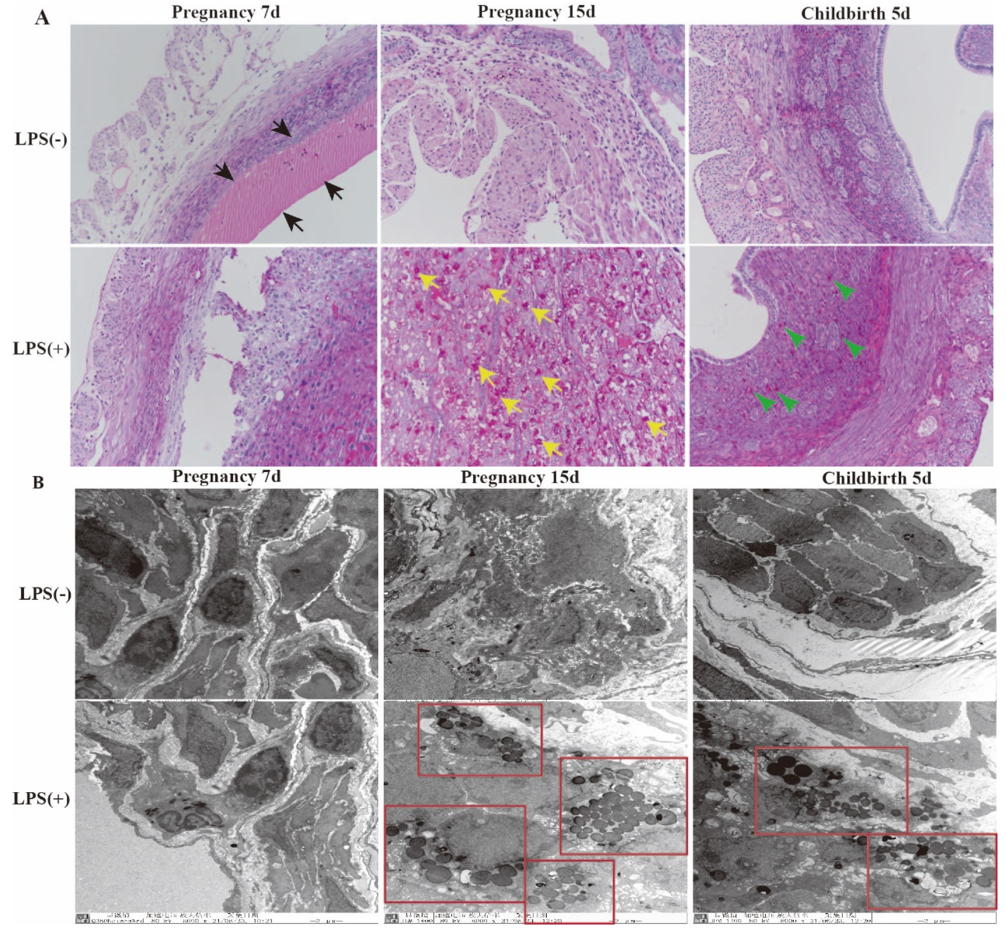 Ijms 23 09972 g003 550