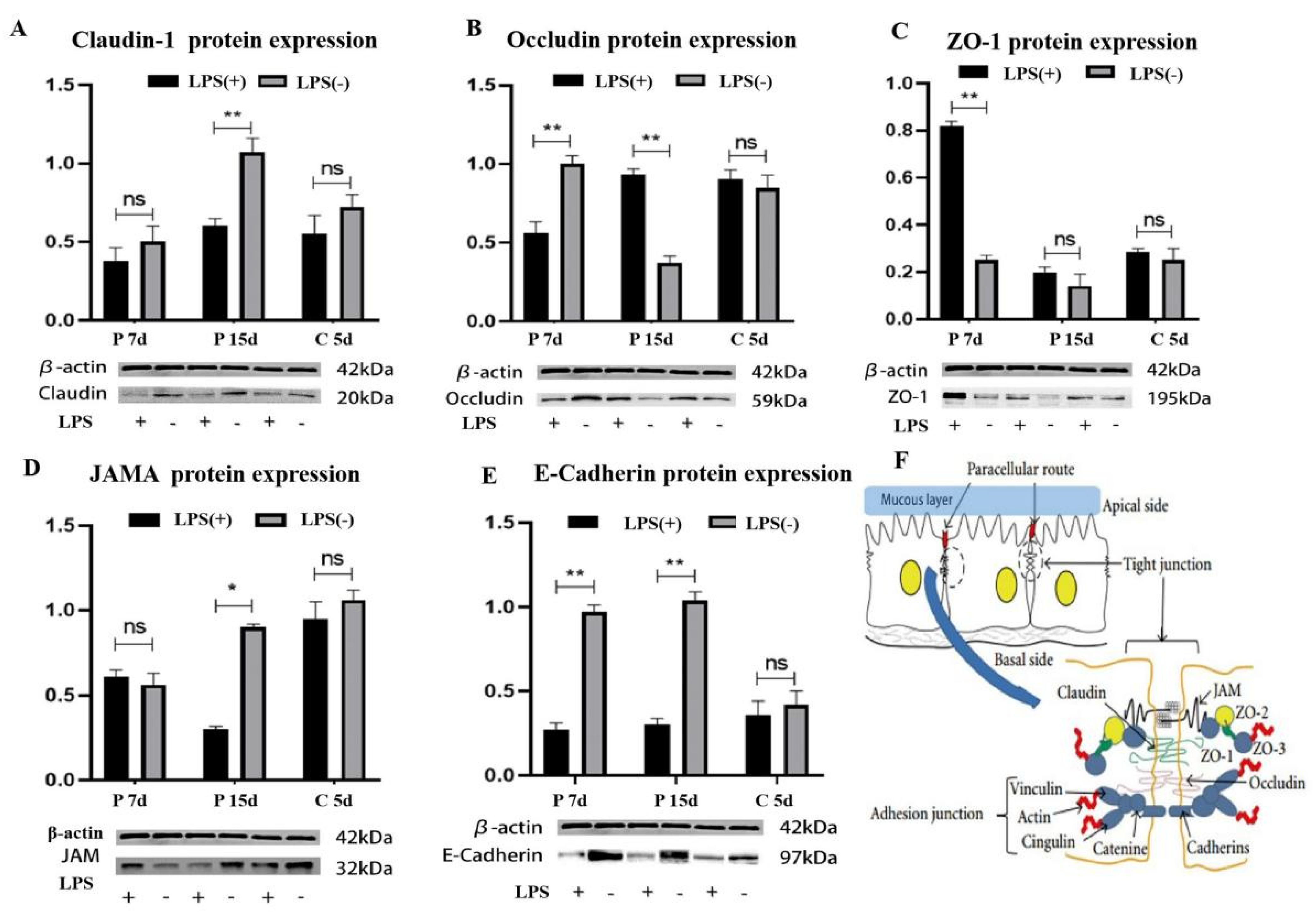 Ijms 23 09972 g004 550