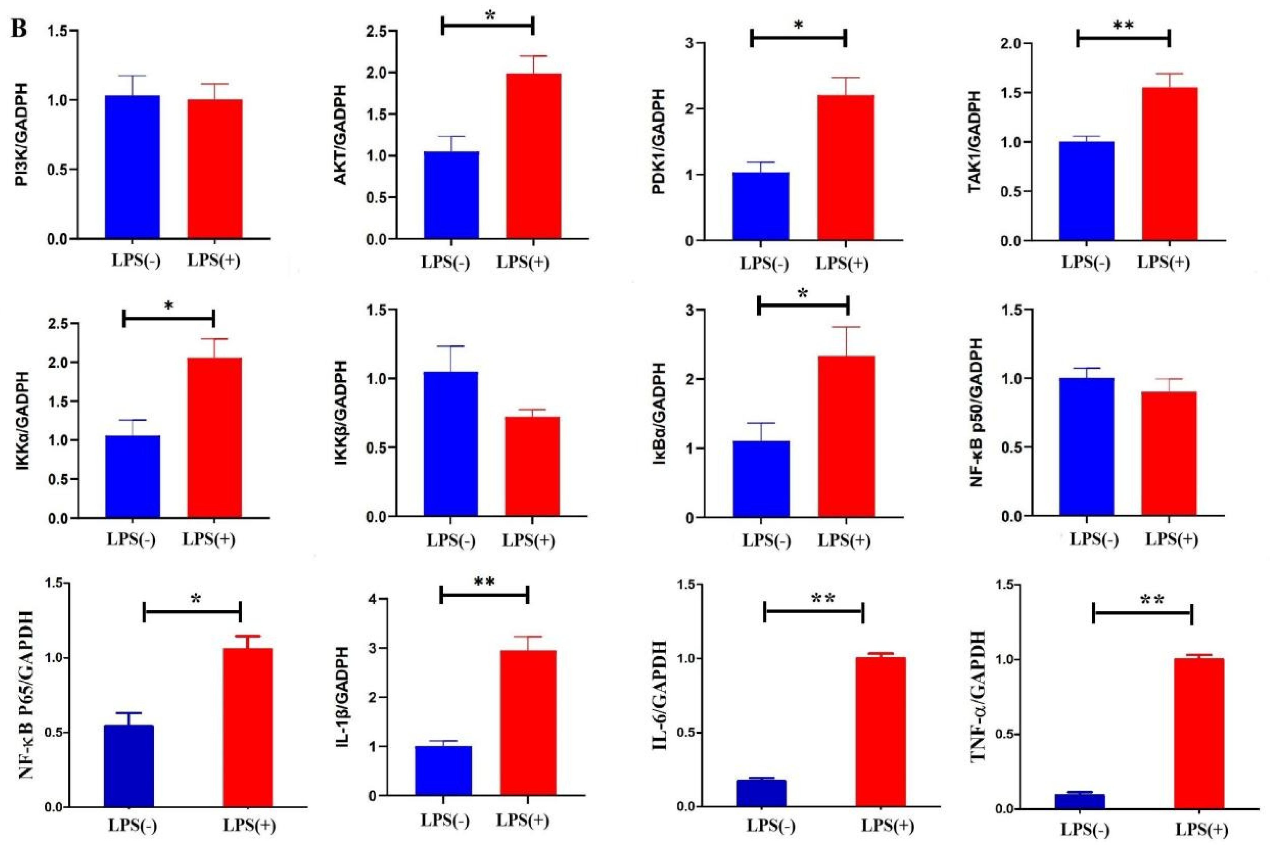 Ijms 23 09972 g006b 550