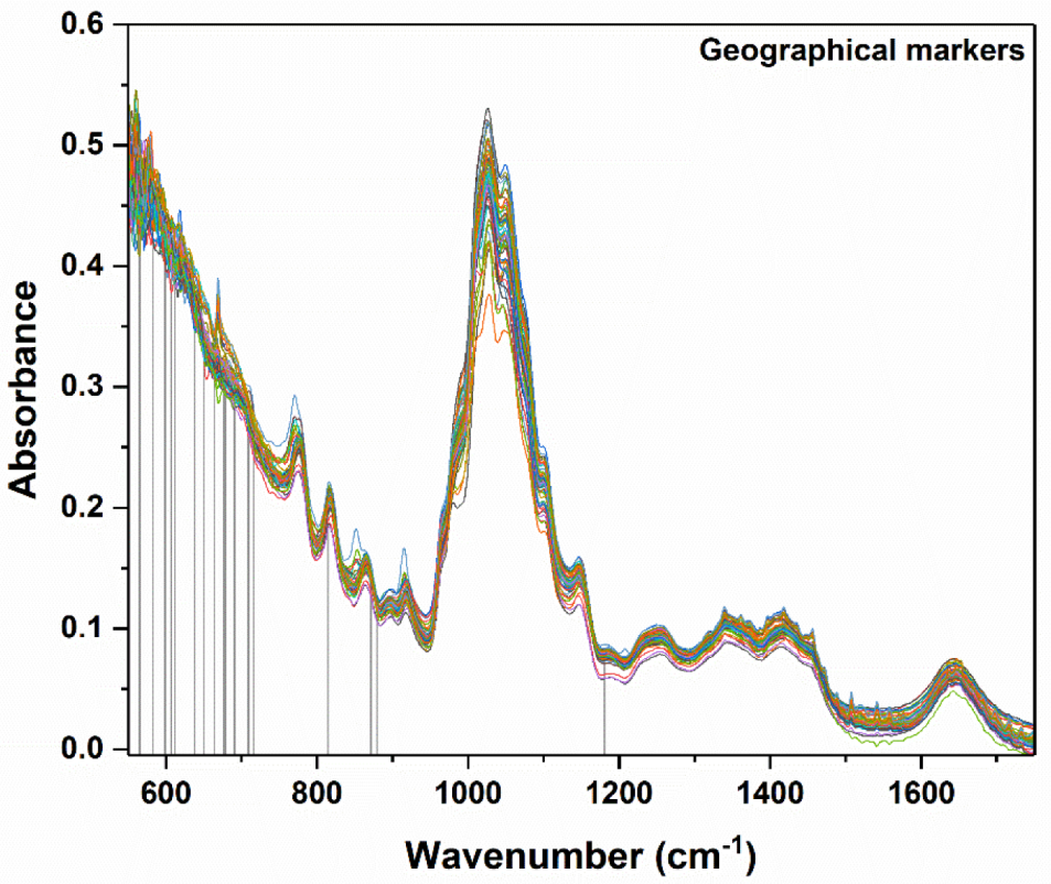 Ijms 23 09977 g010 550