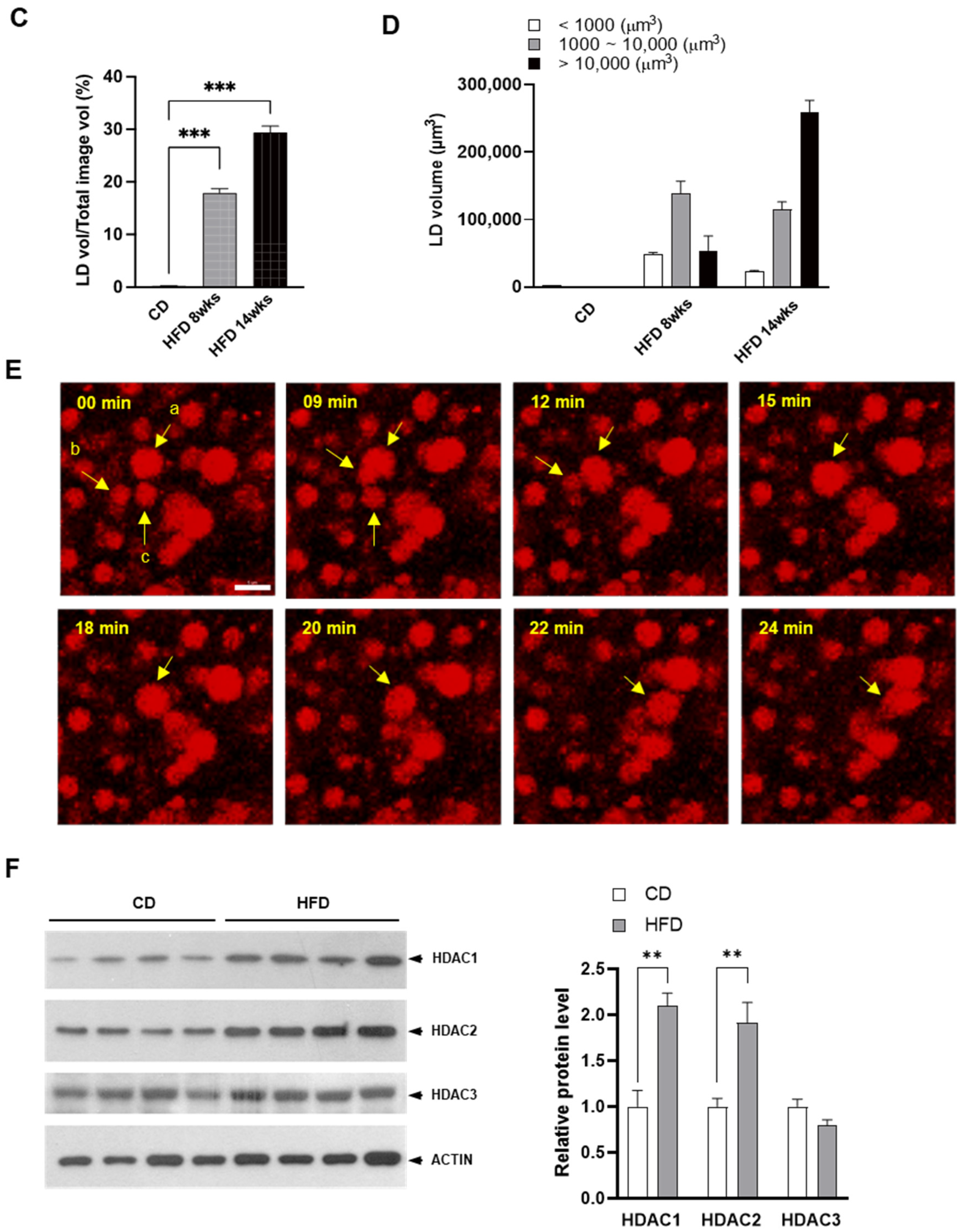 Ijms 23 09978 g001b 550