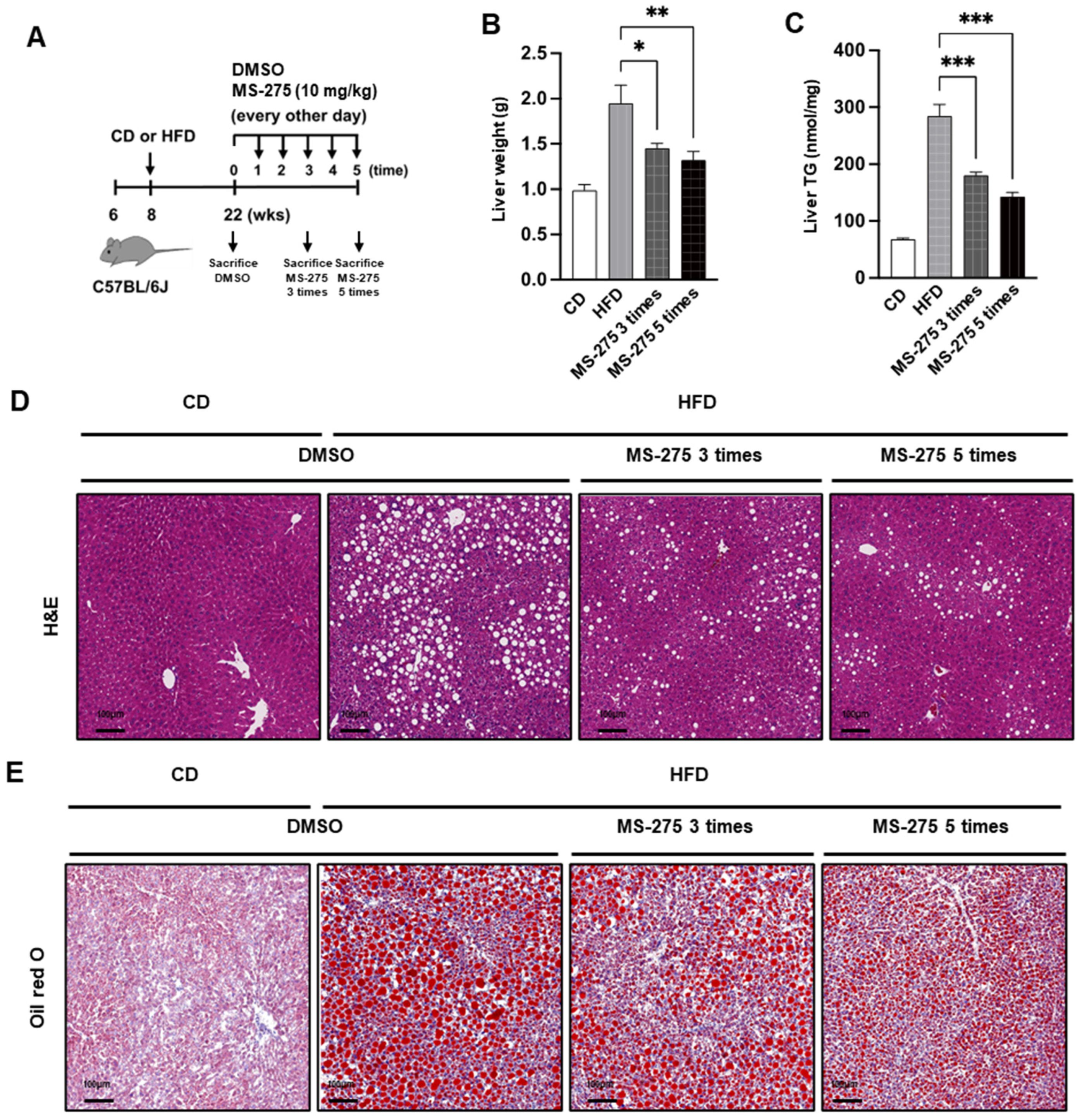 Ijms 23 09978 g002a 550