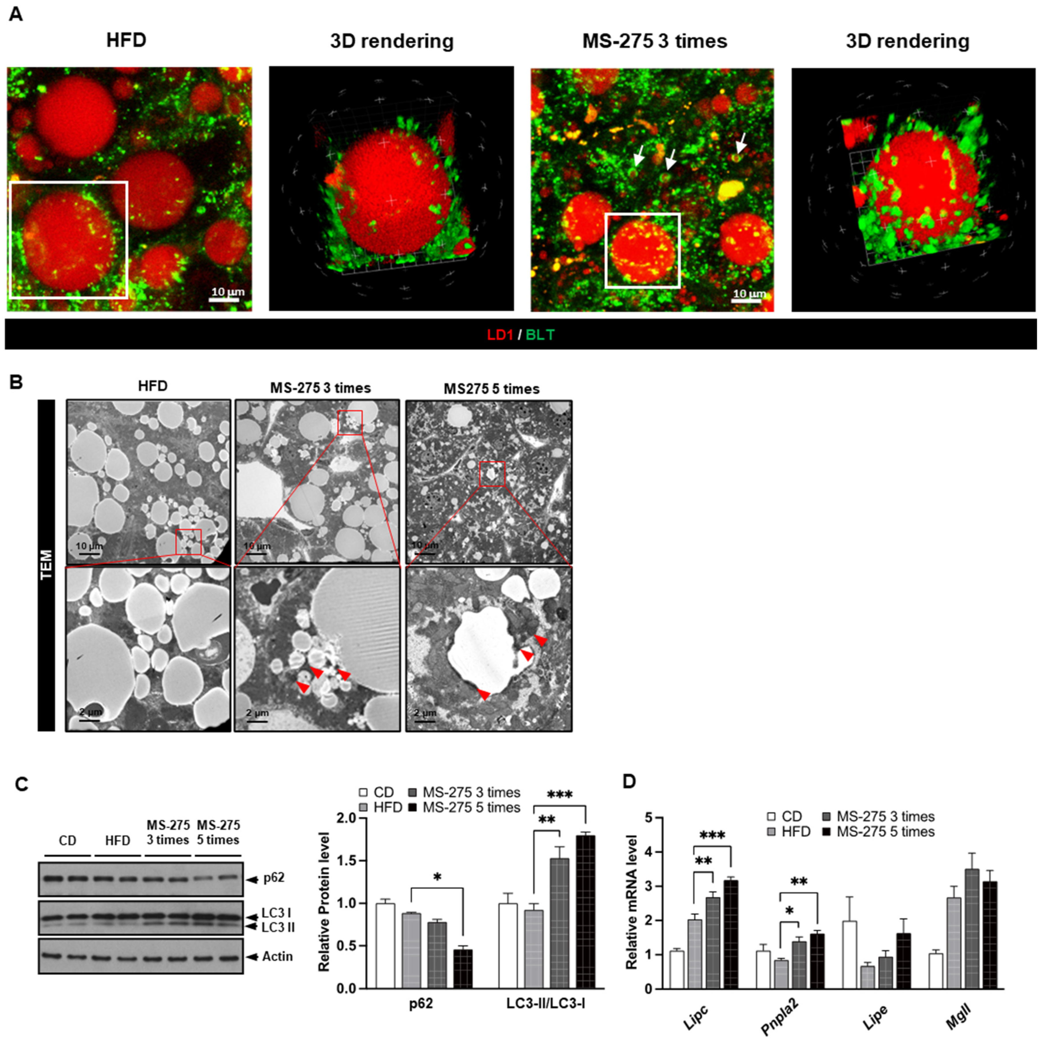 Ijms 23 09978 g004a 550