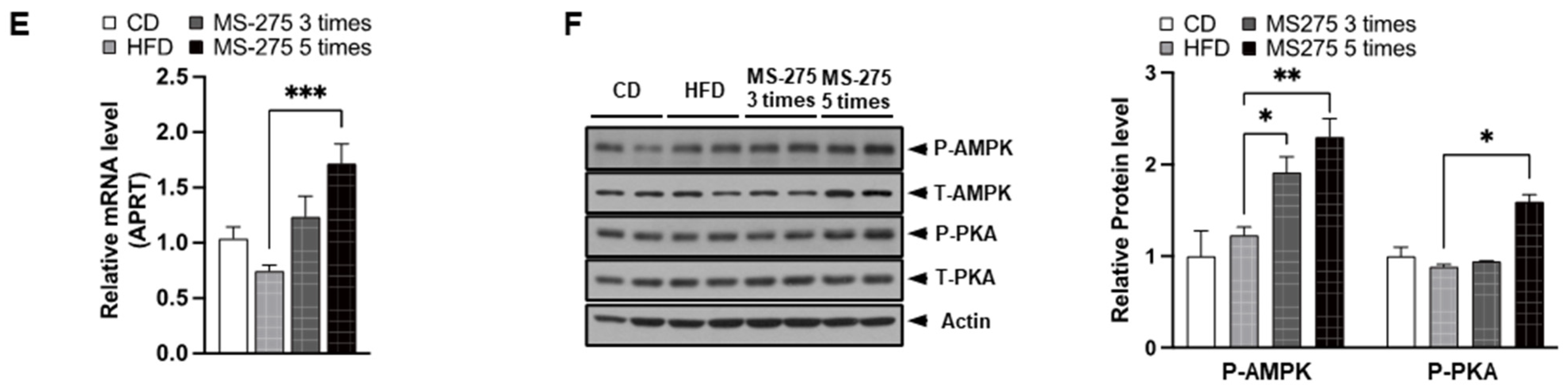 Ijms 23 09978 g004b 550
