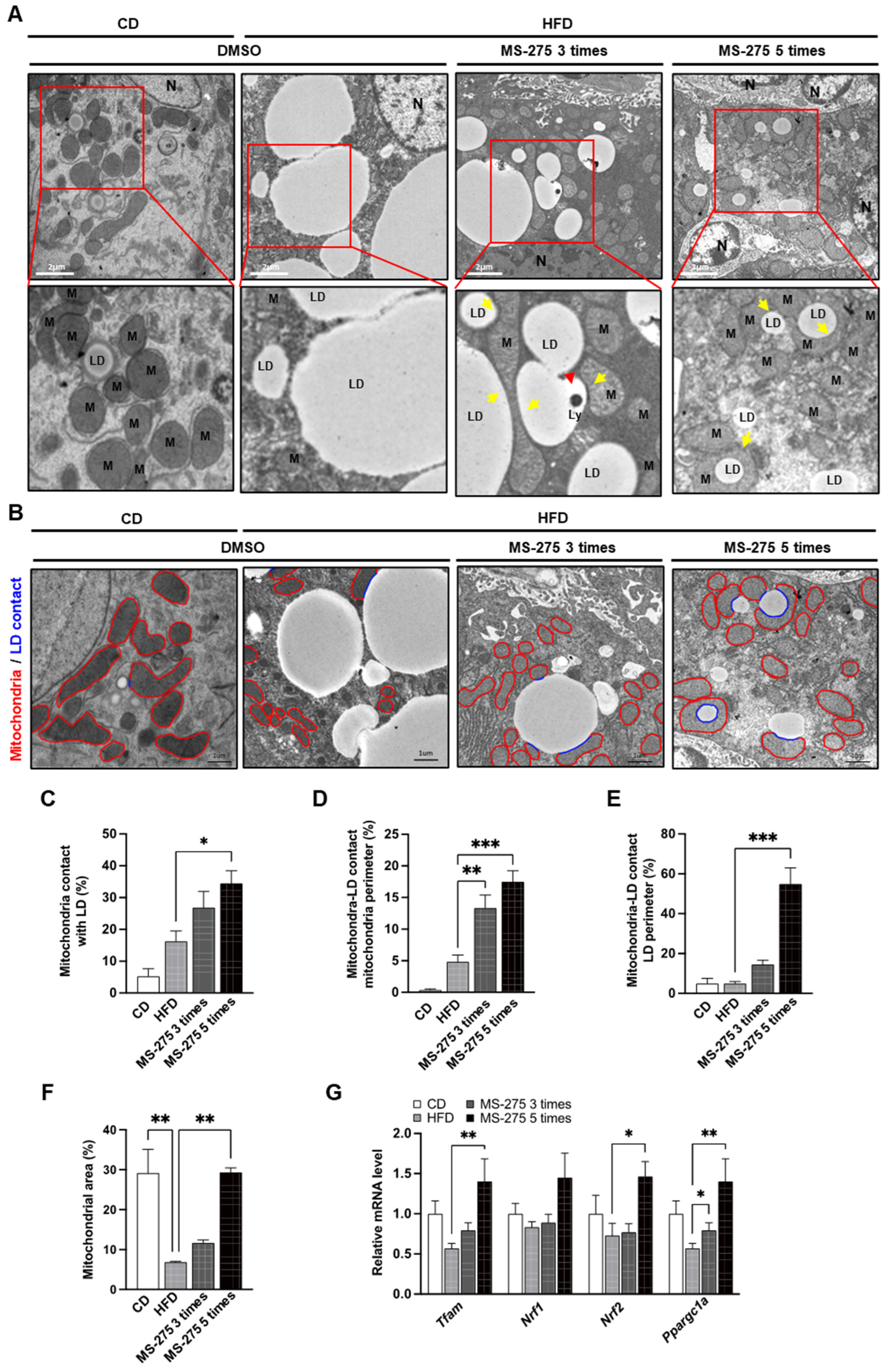 Ijms 23 09978 g005 550