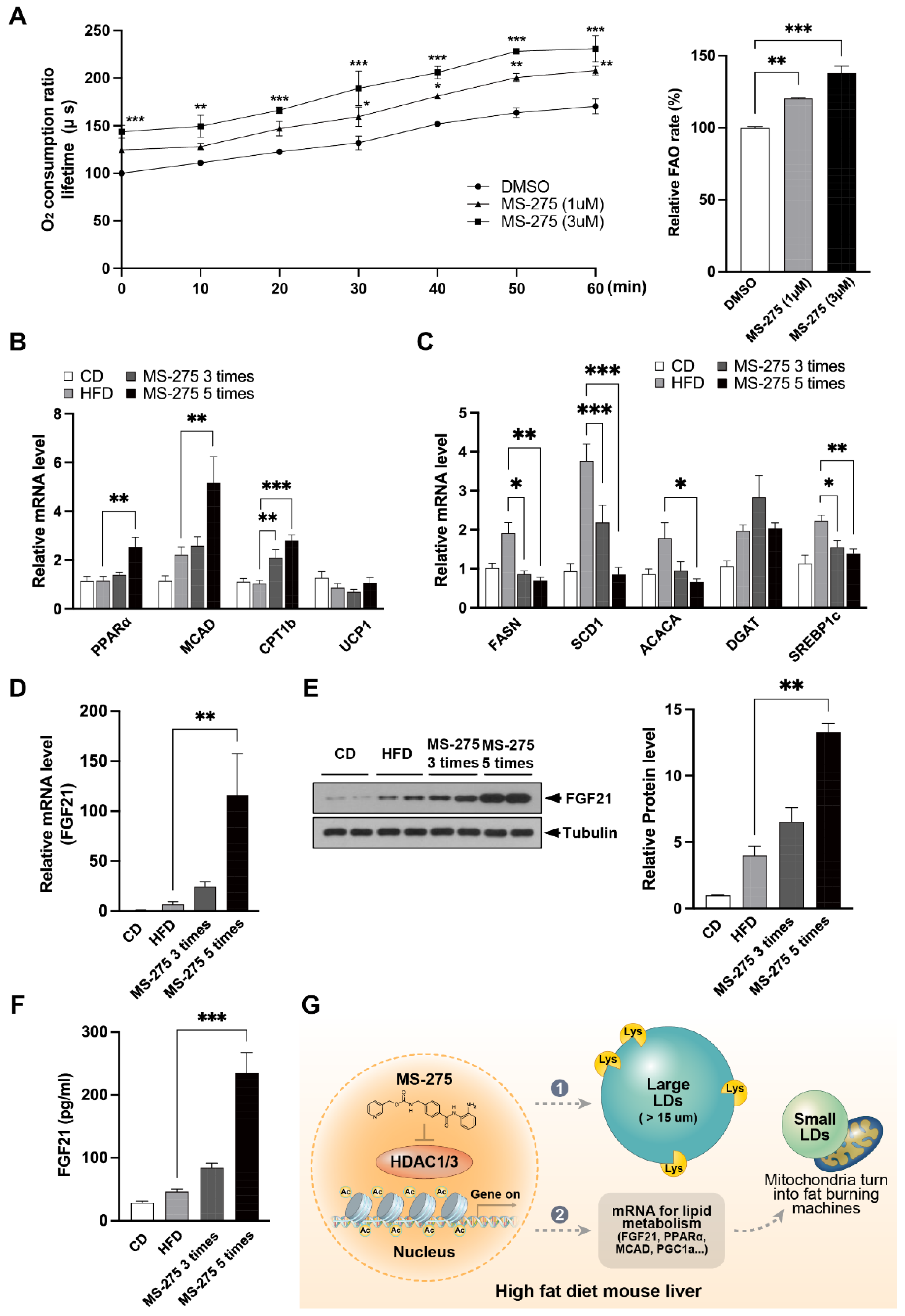 Ijms 23 09978 g006 550
