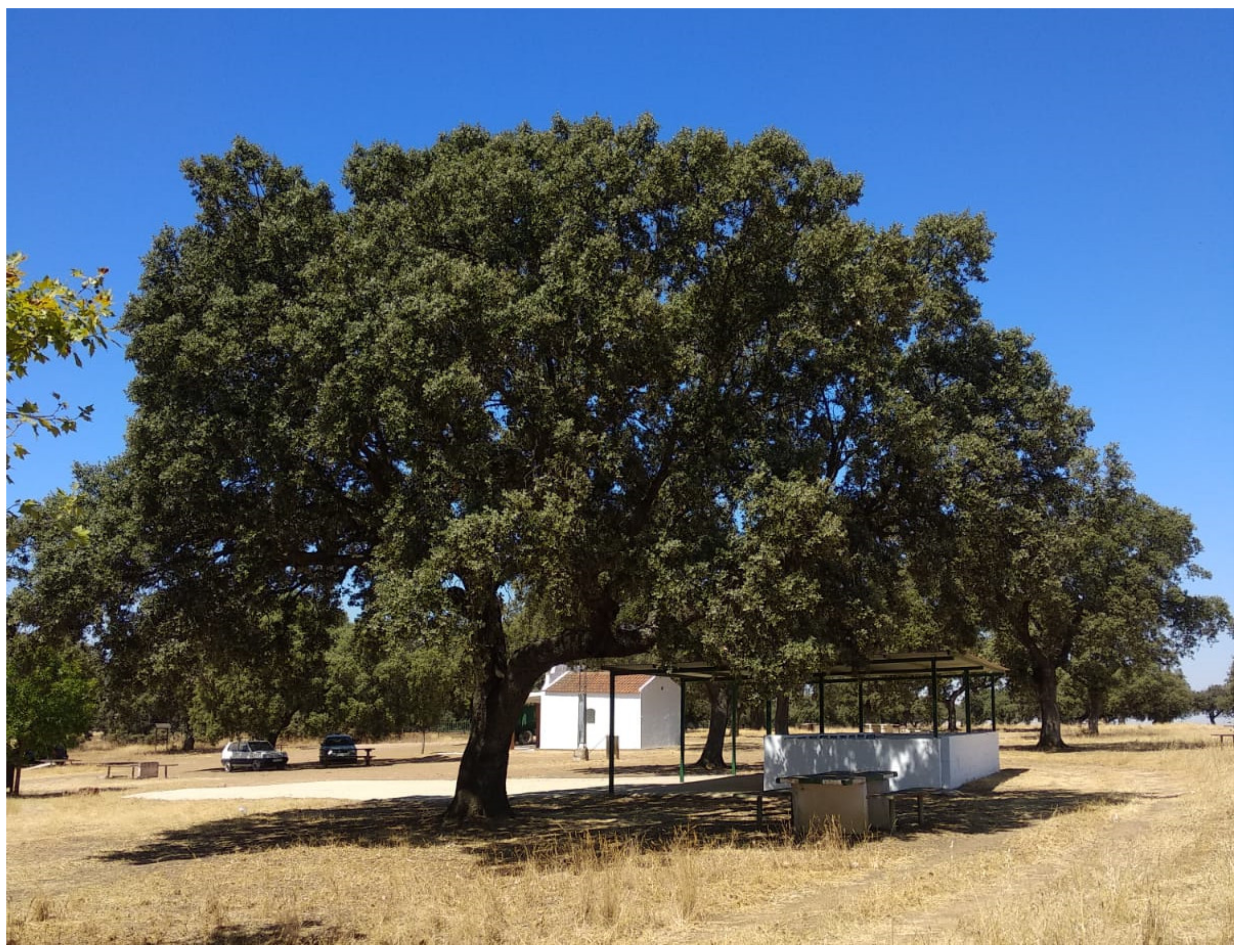 Ijms 23 09980 g001 Ijms 23 09980 g001