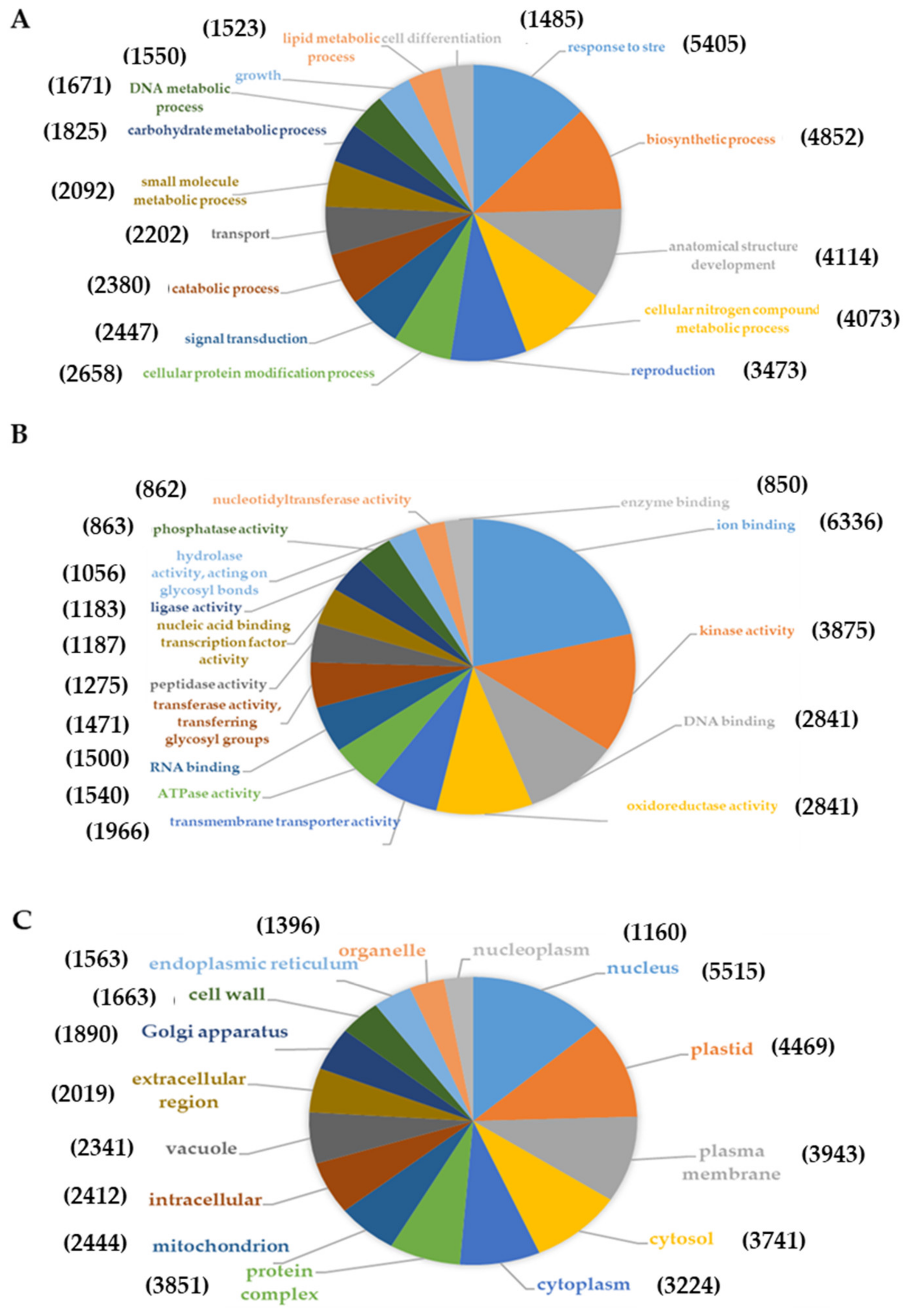 Ijms 23 09980 g004 Ijms 23 09980 g004