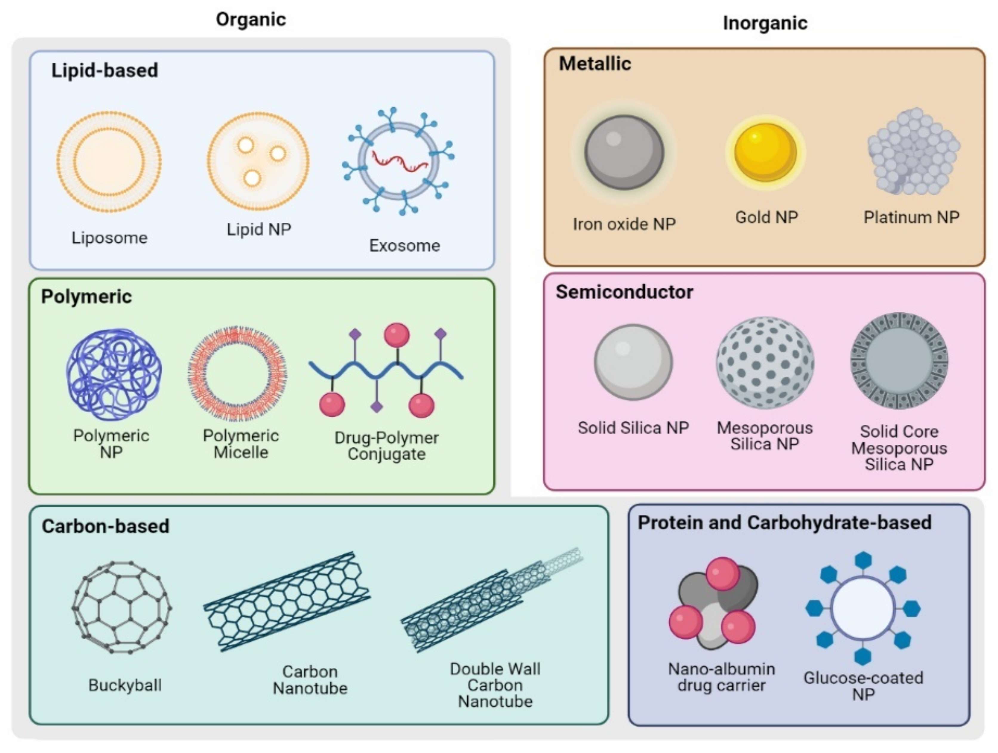 Ijms 23 09981 g002 Ijms 23 09981 g002