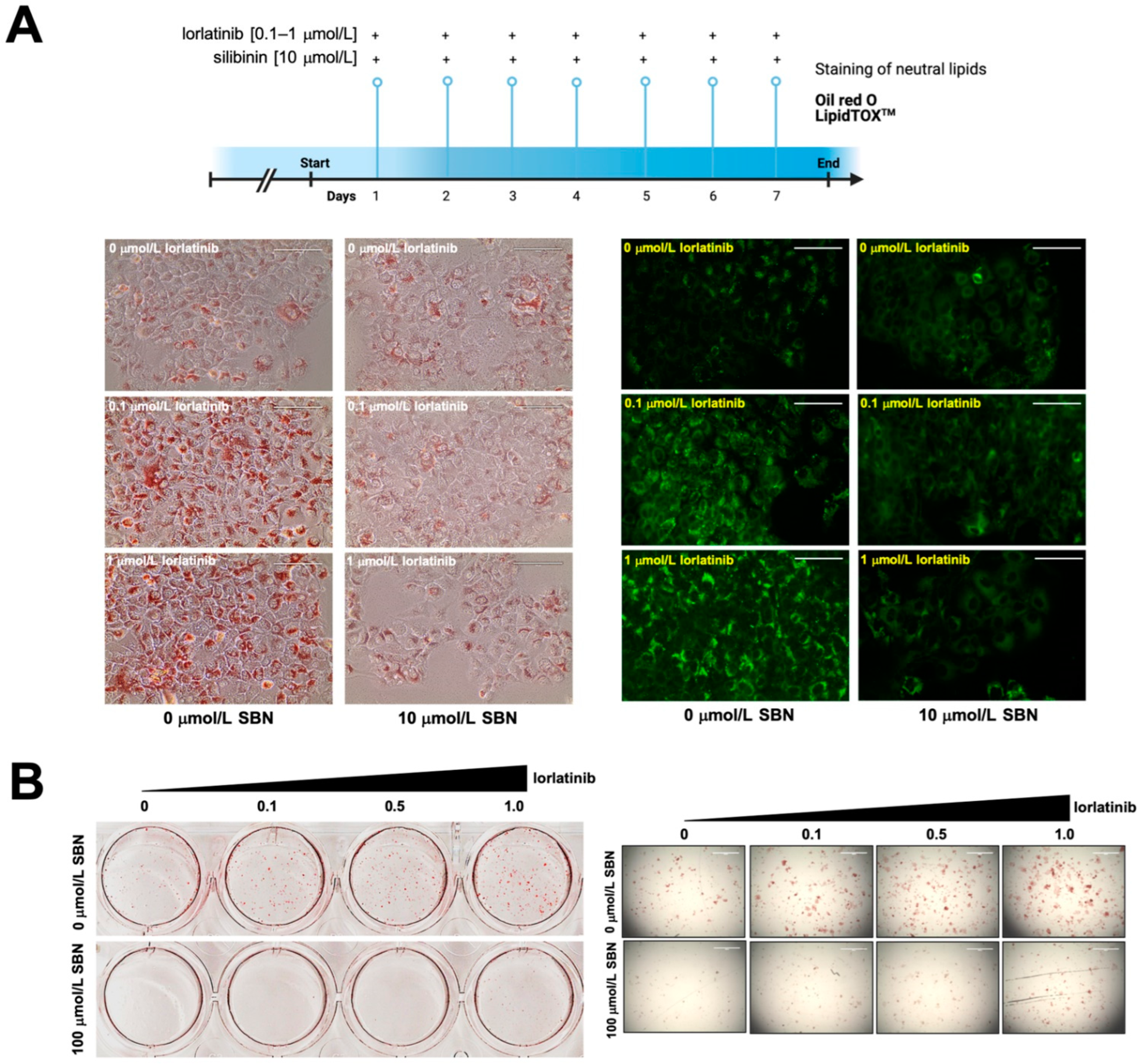 Ijms 23 09986 g002 550