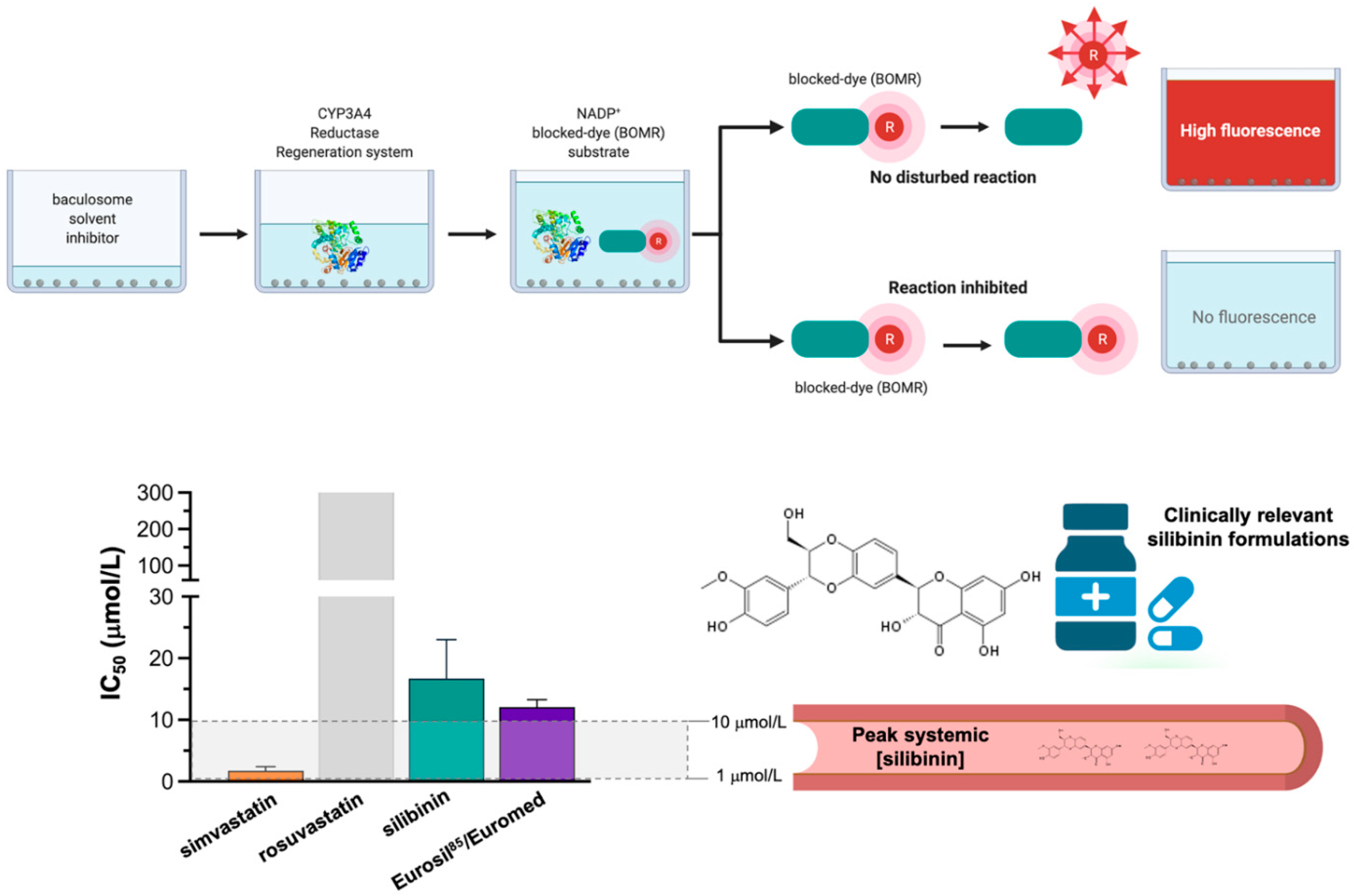 Ijms 23 09986 g005 550