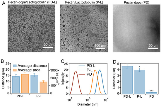 Engineering Bio-Adhesives Based on Protein–Polysaccharide Phase