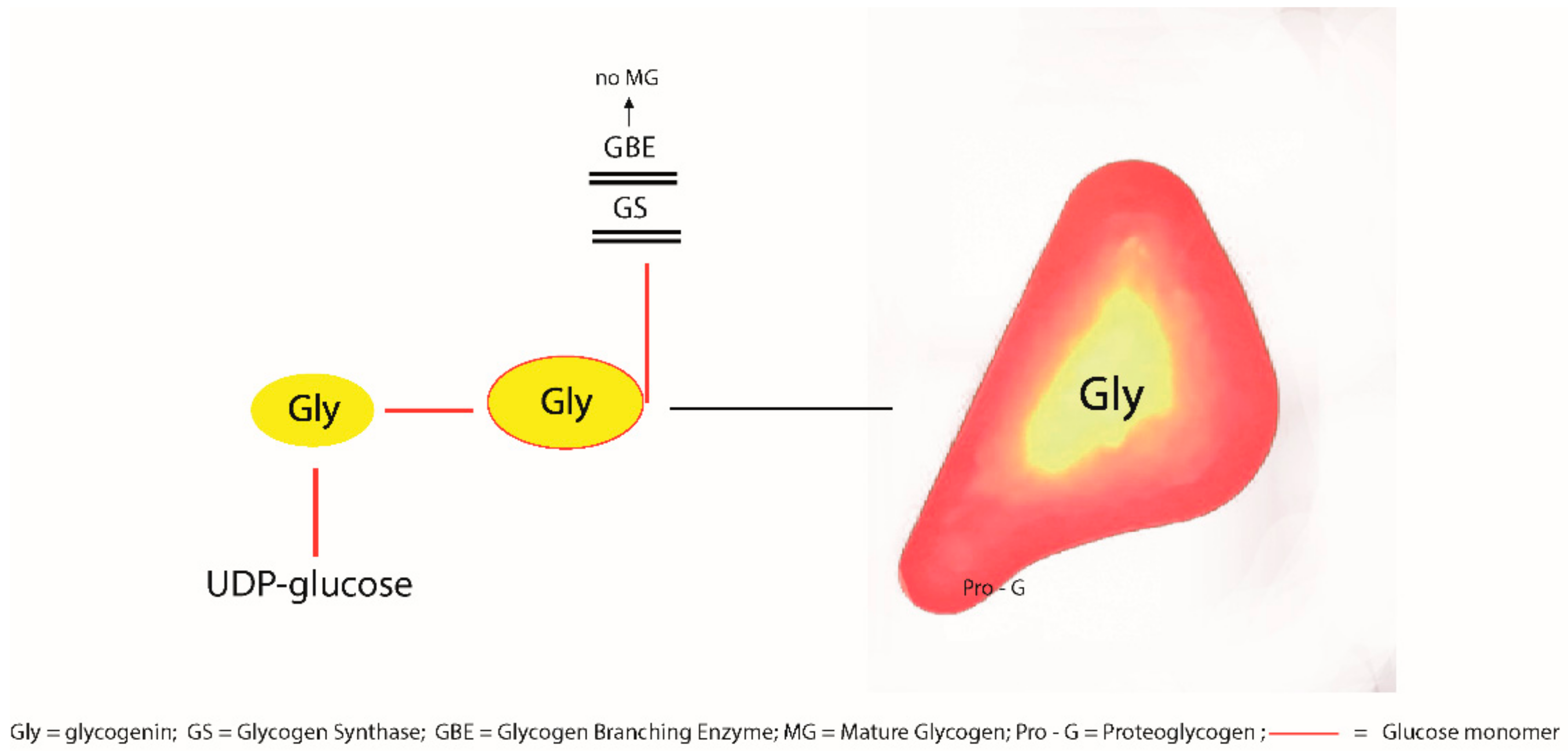 Ijms 23 09996 g001 Ijms 23 09996 g001