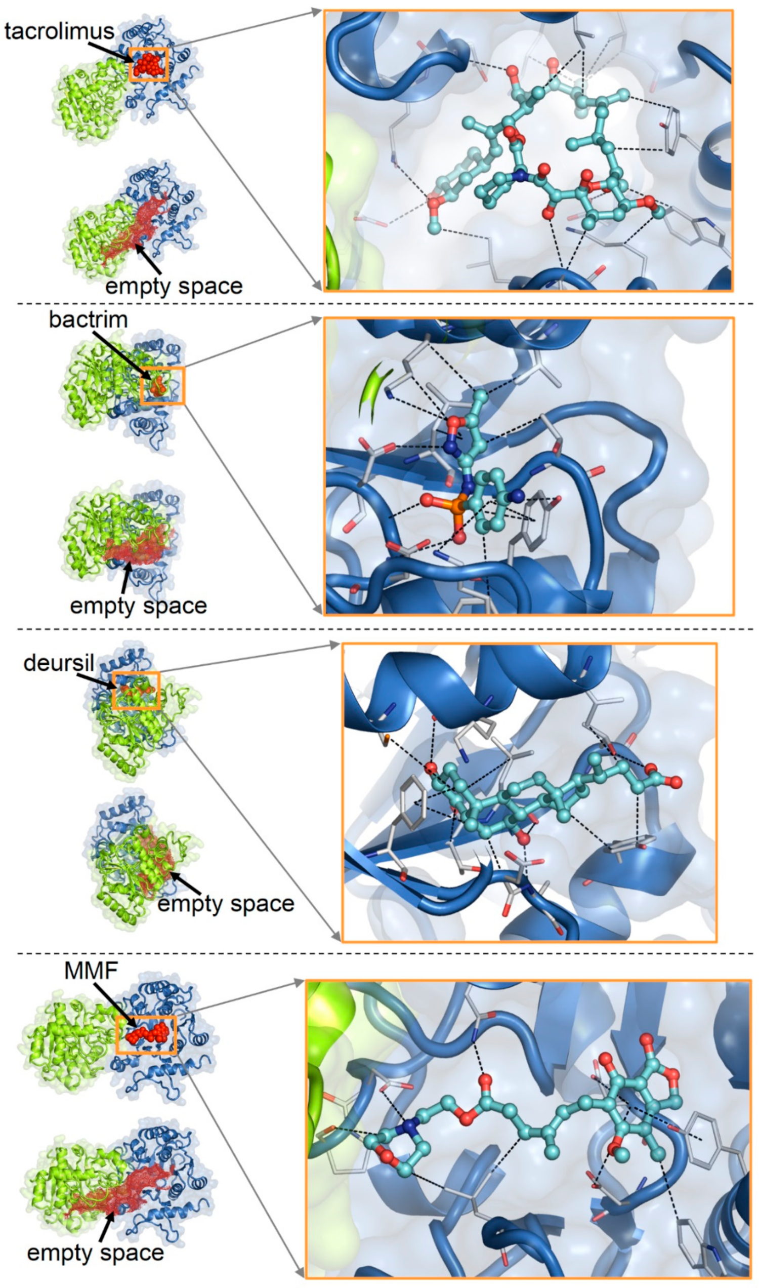 Ijms 23 09996 g004 Ijms 23 09996 g004