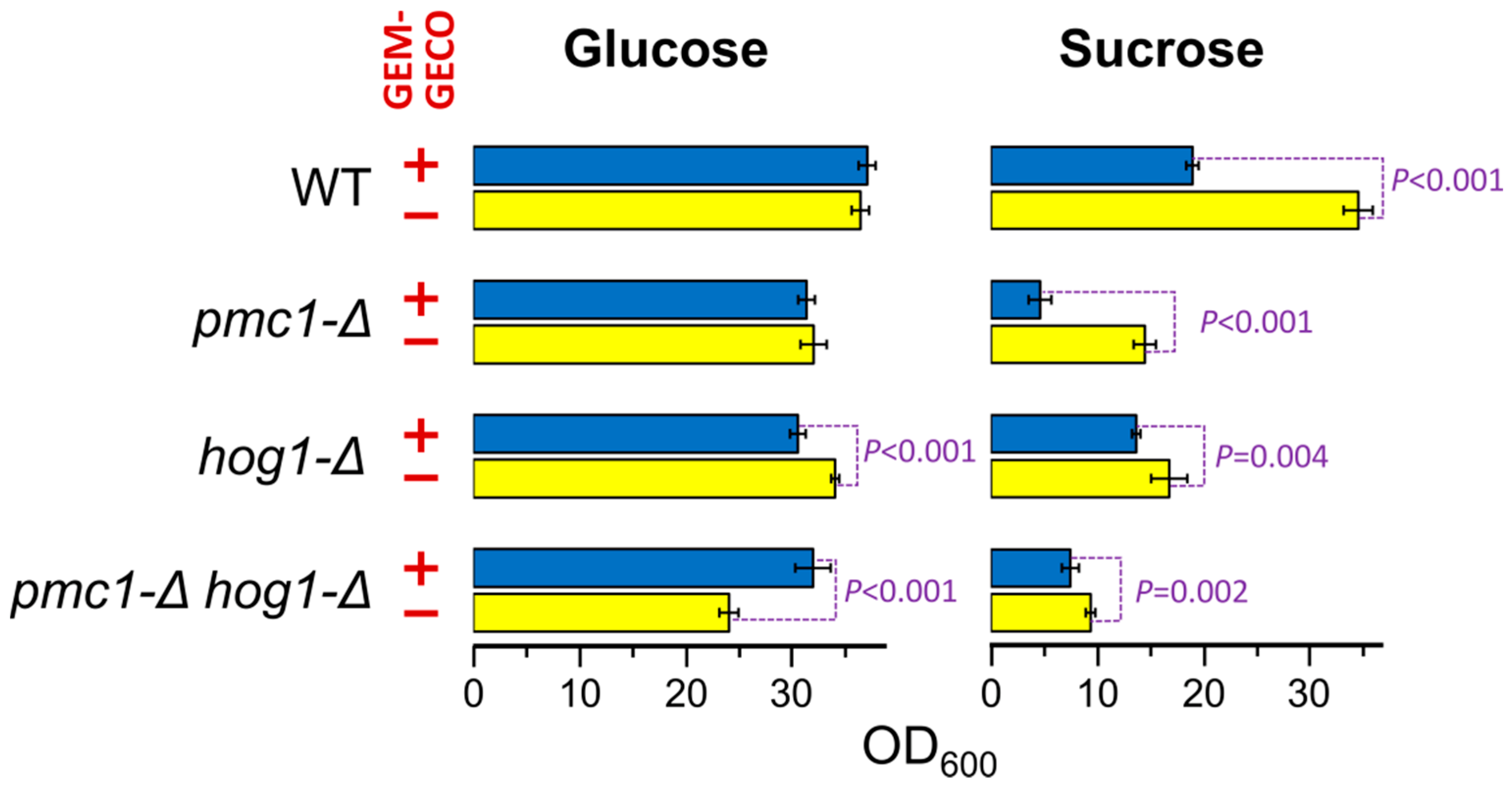 Ijms 23 10004 g001 550