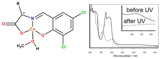 Photofunctions in Hybrid Systems of Schiff Base Metal