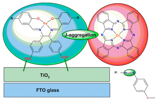 Photofunctions in Hybrid Systems of Schiff Base Metal
