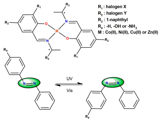 Photofunctions in Hybrid Systems of Schiff Base Metal