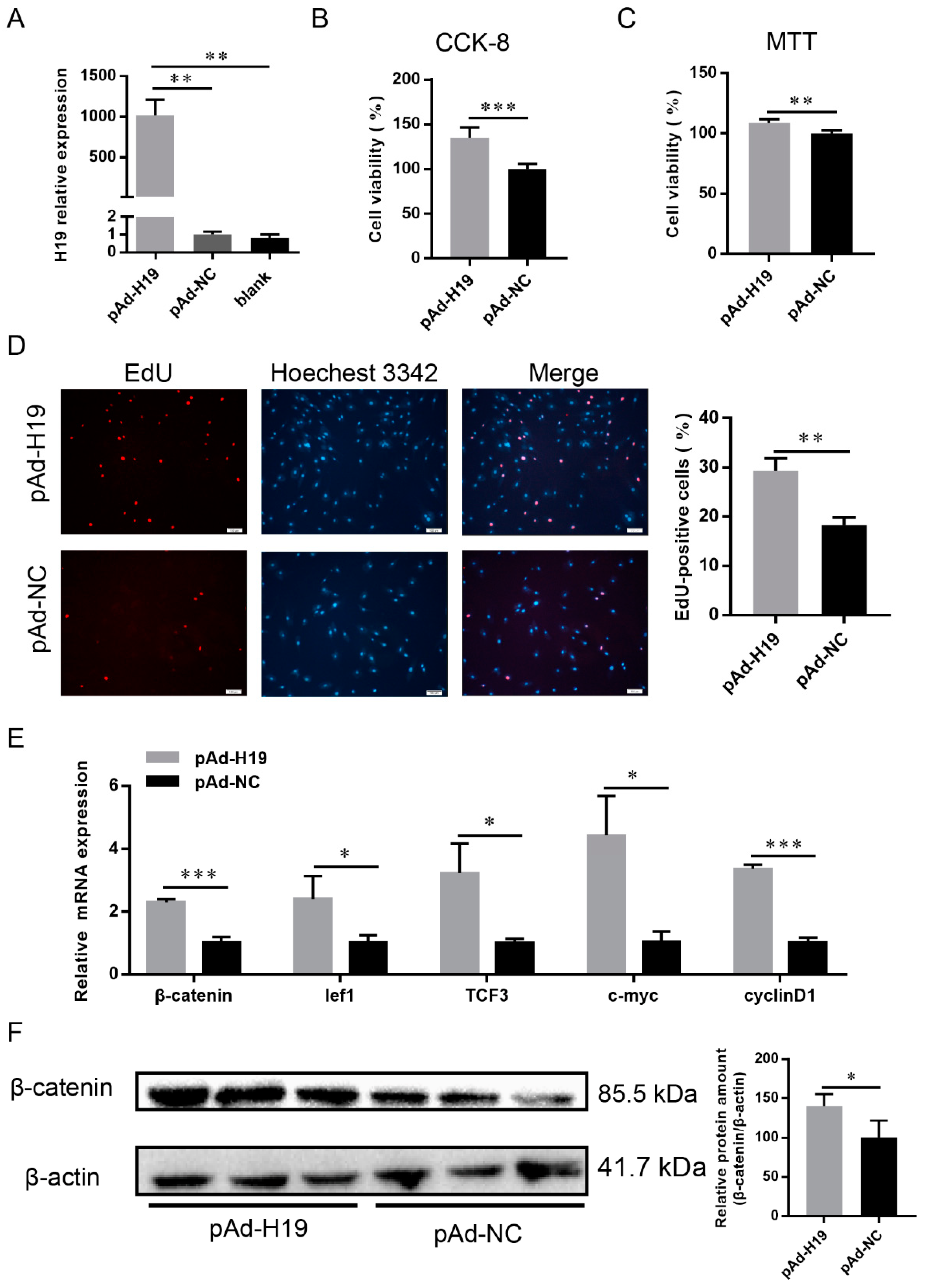 Ijms 23 10006 g002 550