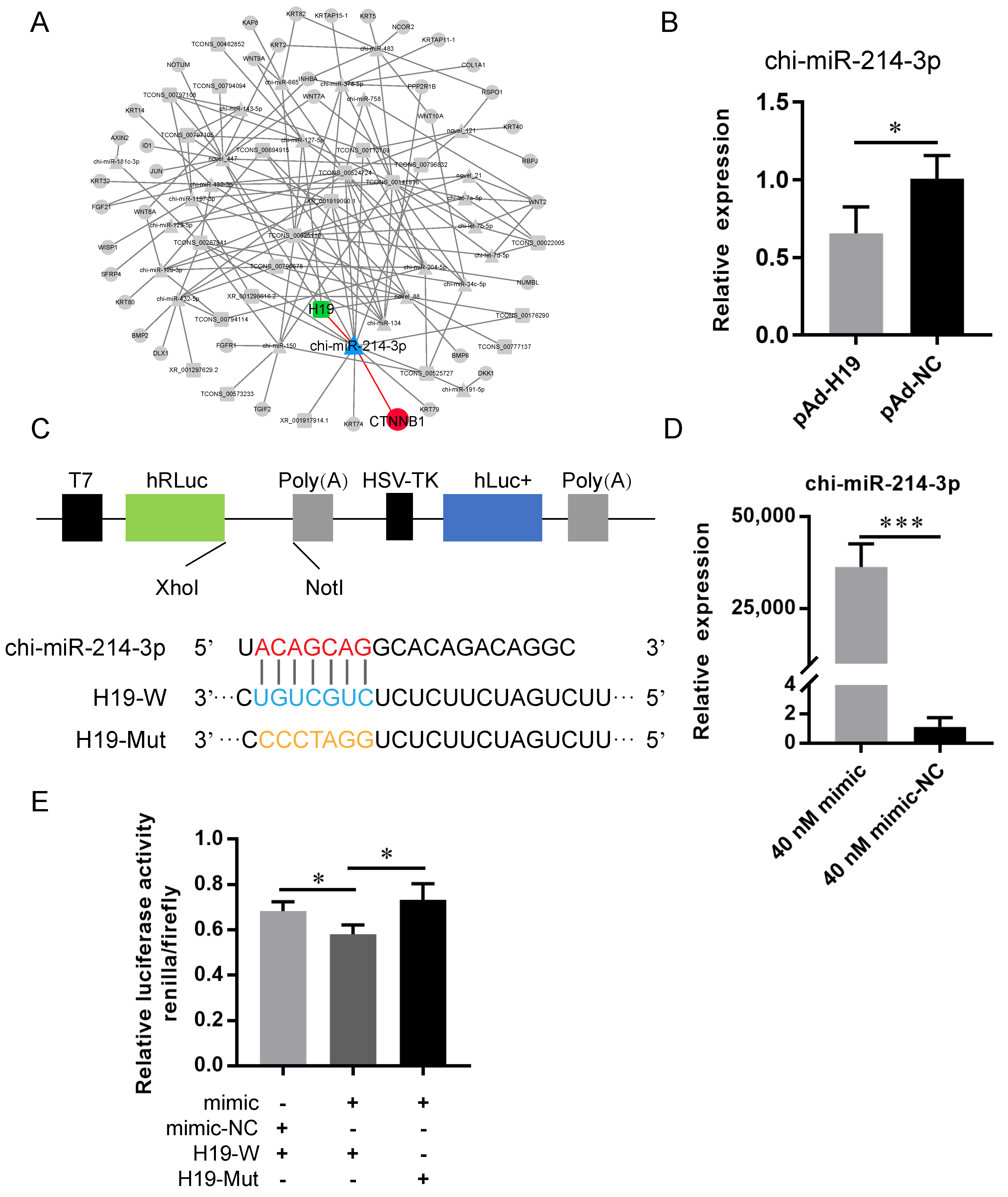 Ijms 23 10006 g003 550