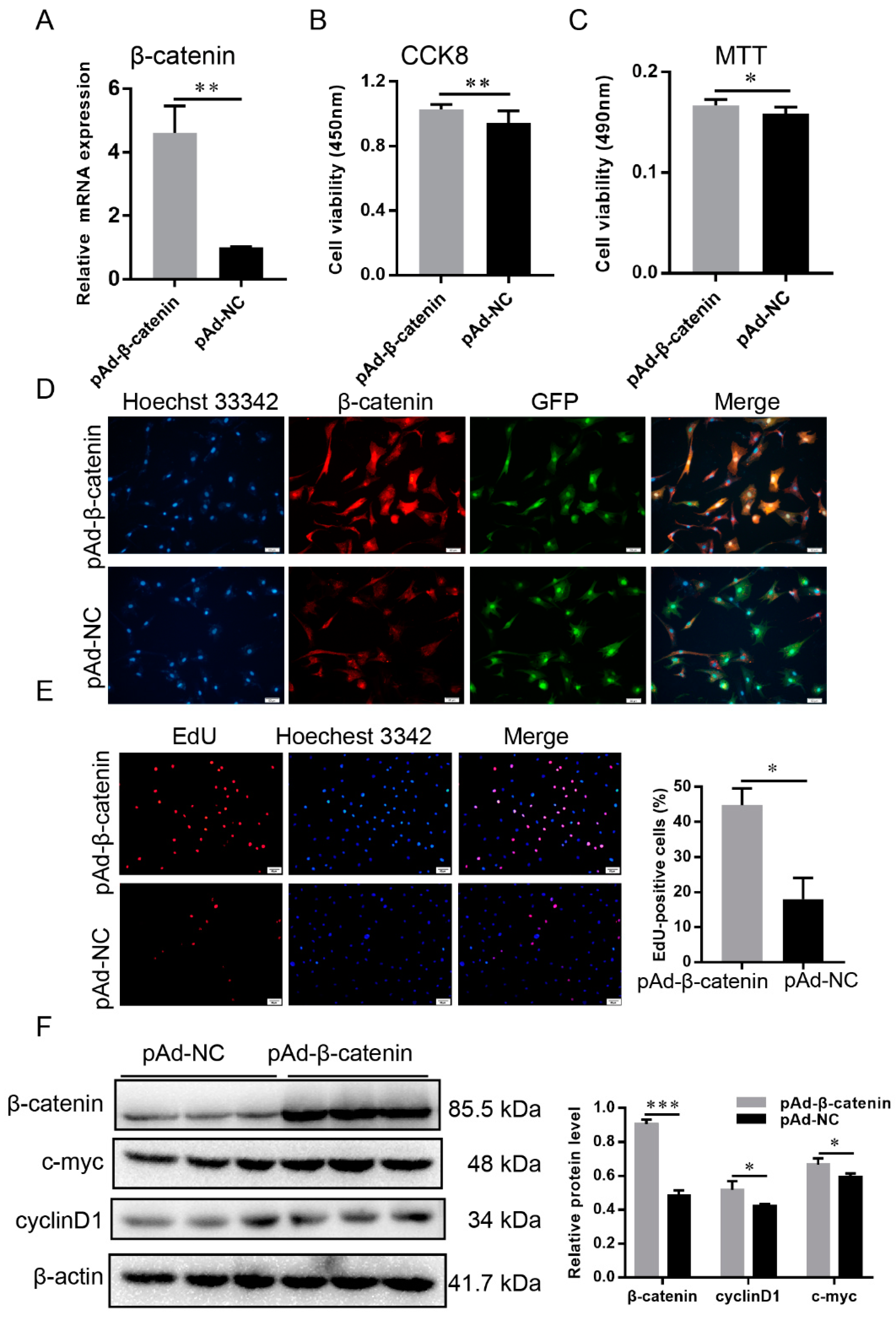 Ijms 23 10006 g005 550