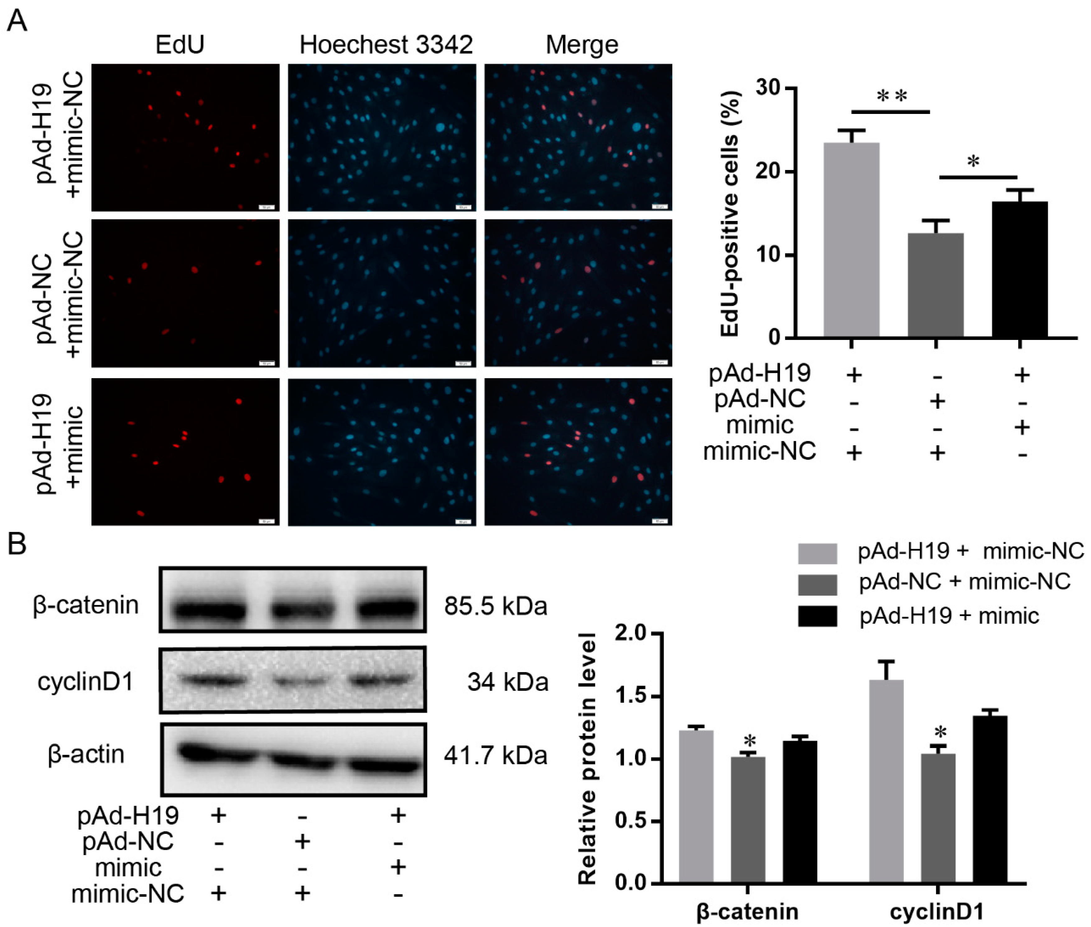 Ijms 23 10006 g006 550