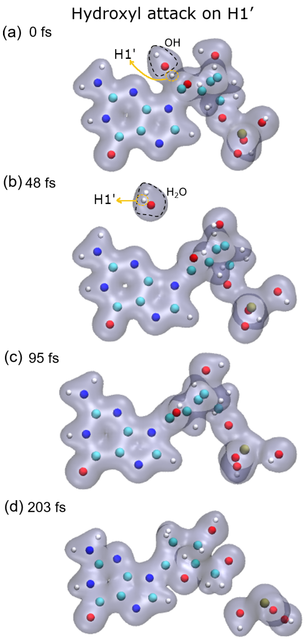 Ijms 23 10007 g001 550