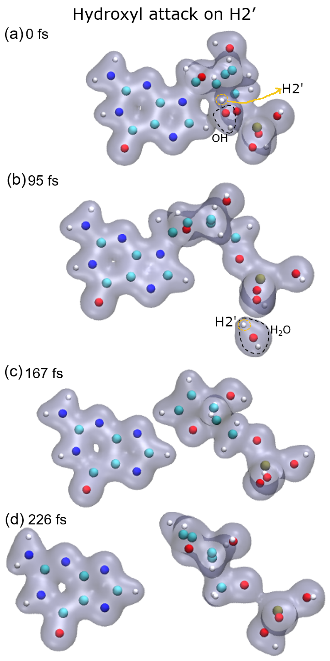 Ijms 23 10007 g002 550