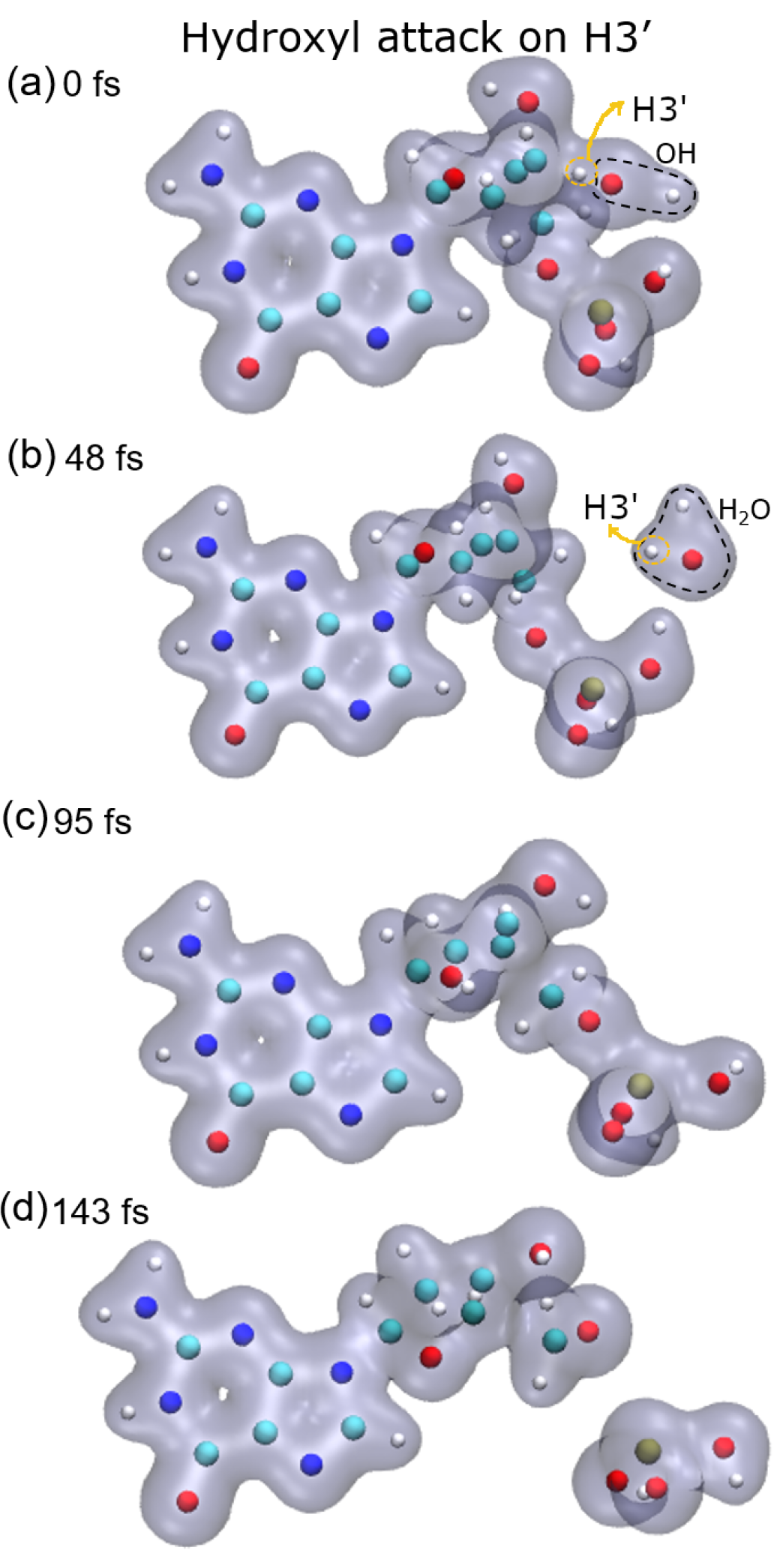 Ijms 23 10007 g003 550