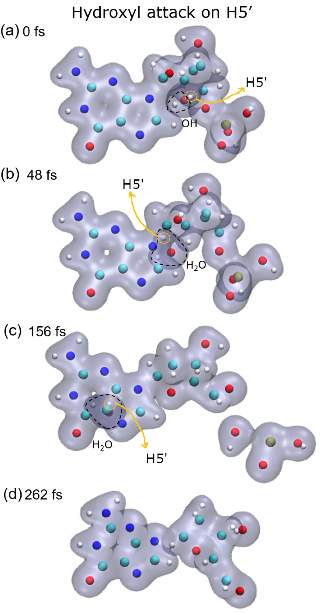 Ijms 23 10007 g004 550