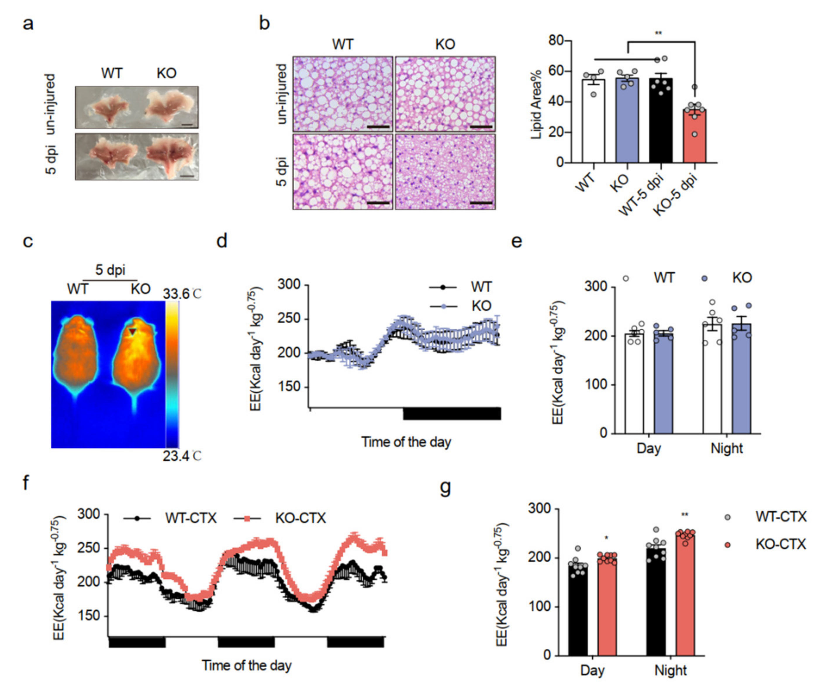 Ijms 23 10008 g001 550