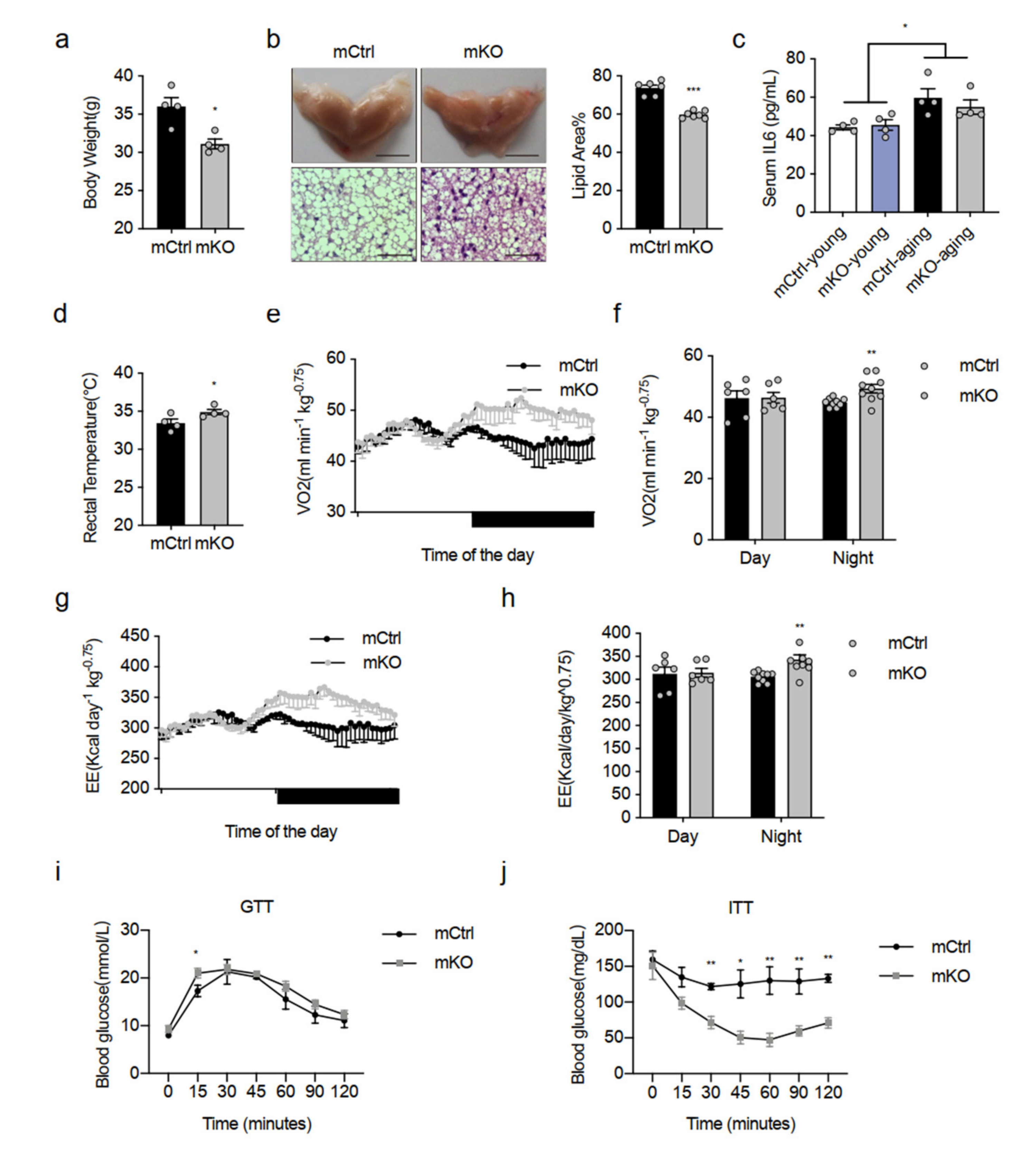 Ijms 23 10008 g007 550