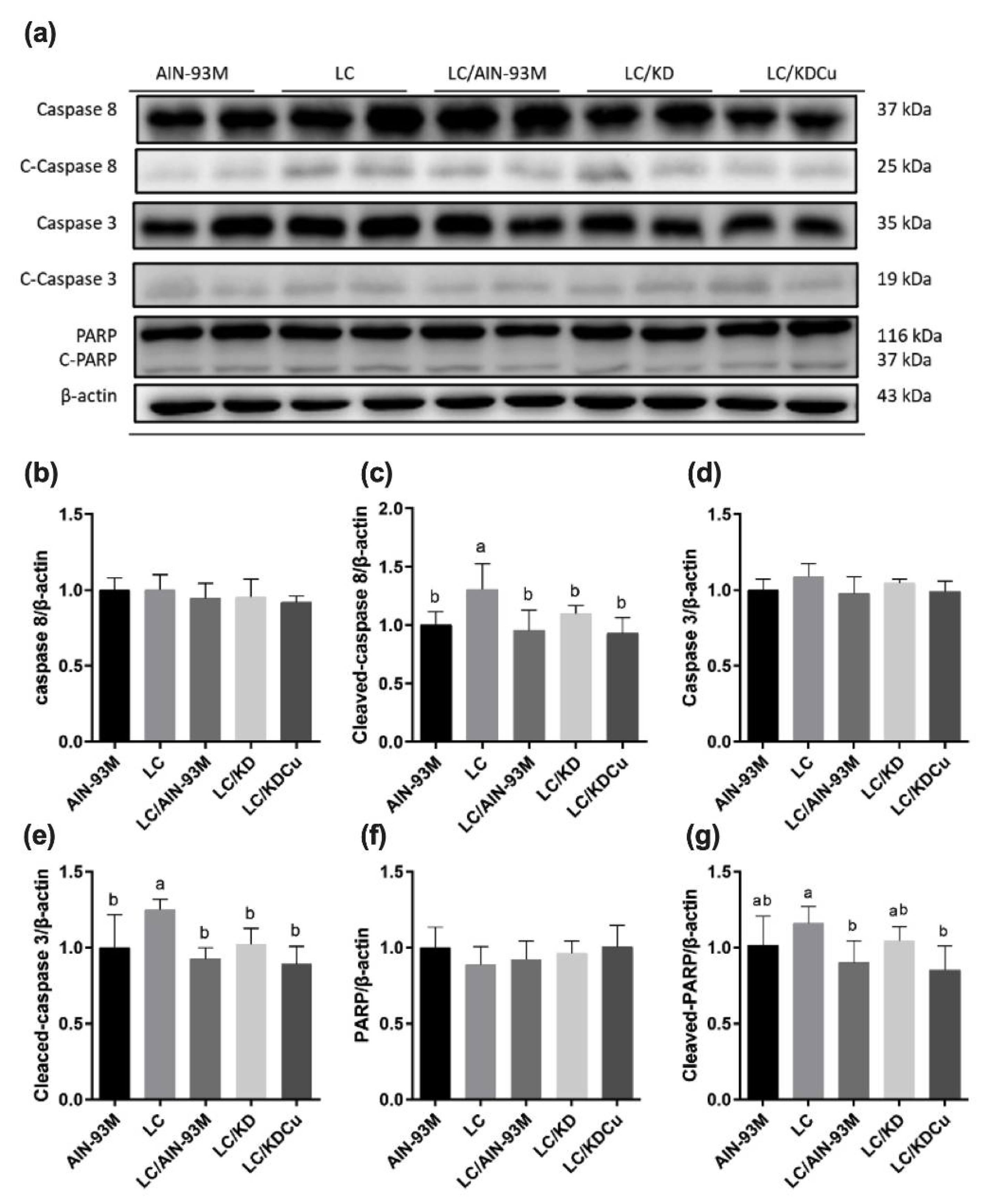 Ijms 23 10009 g009 550