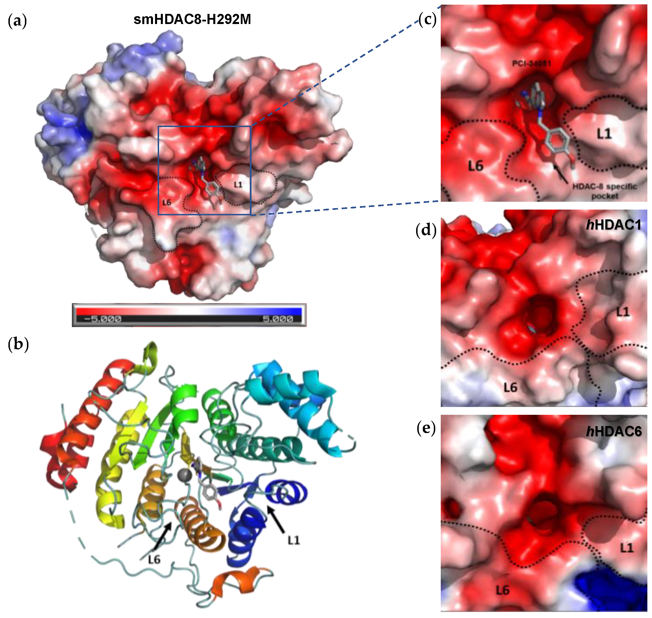 Ijms 23 10014 g002 Ijms 23 10014 g002