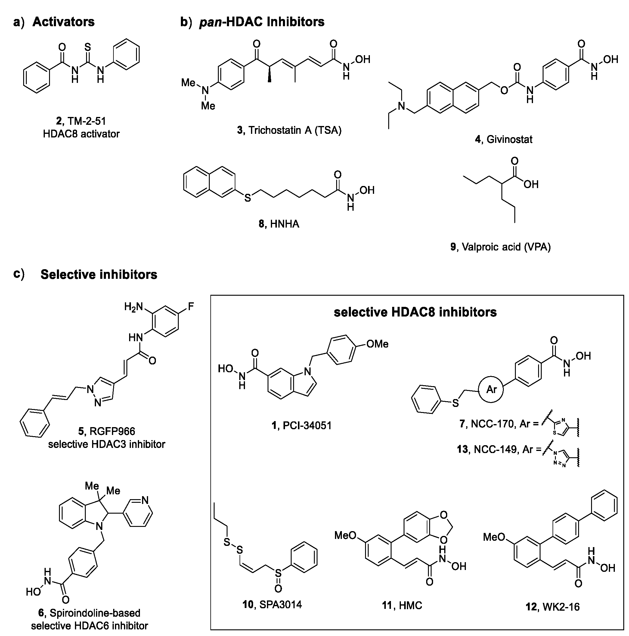 Ijms 23 10014 g003 Ijms 23 10014 g003