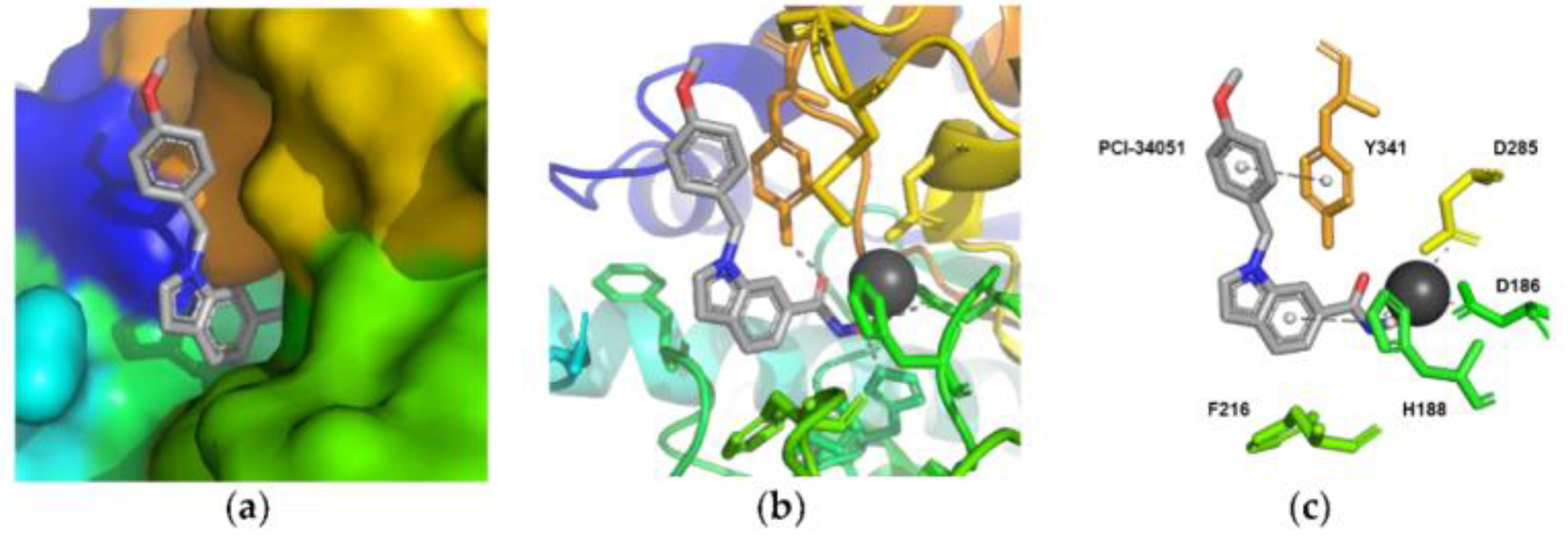 Ijms 23 10014 g005 Ijms 23 10014 g005