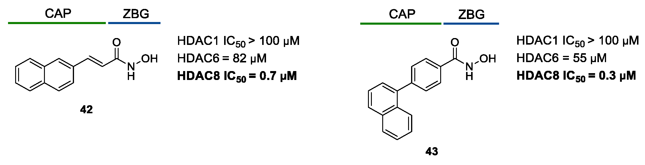 Ijms 23 10014 g007 Ijms 23 10014 g007