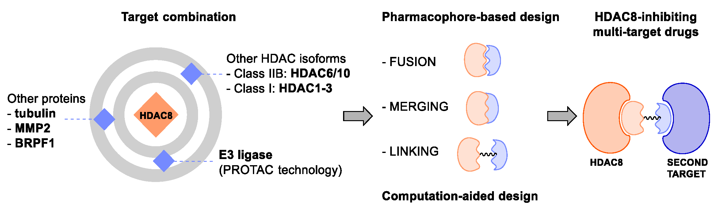 Ijms 23 10014 g009 Ijms 23 10014 g009