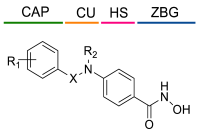Ijms 23 10014 i017 Ijms 23 10014 i017