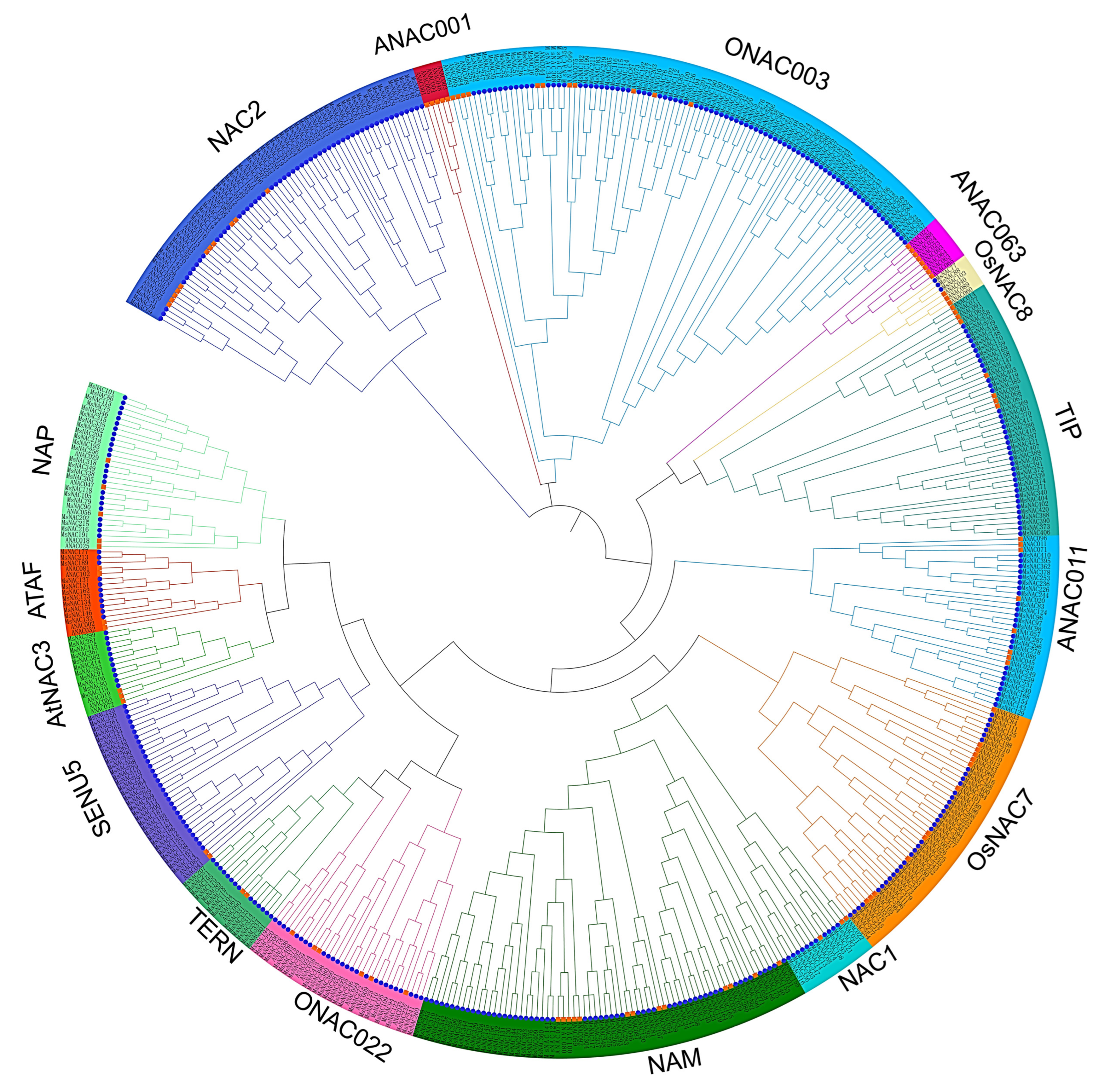 Ijms 23 10015 g003 550