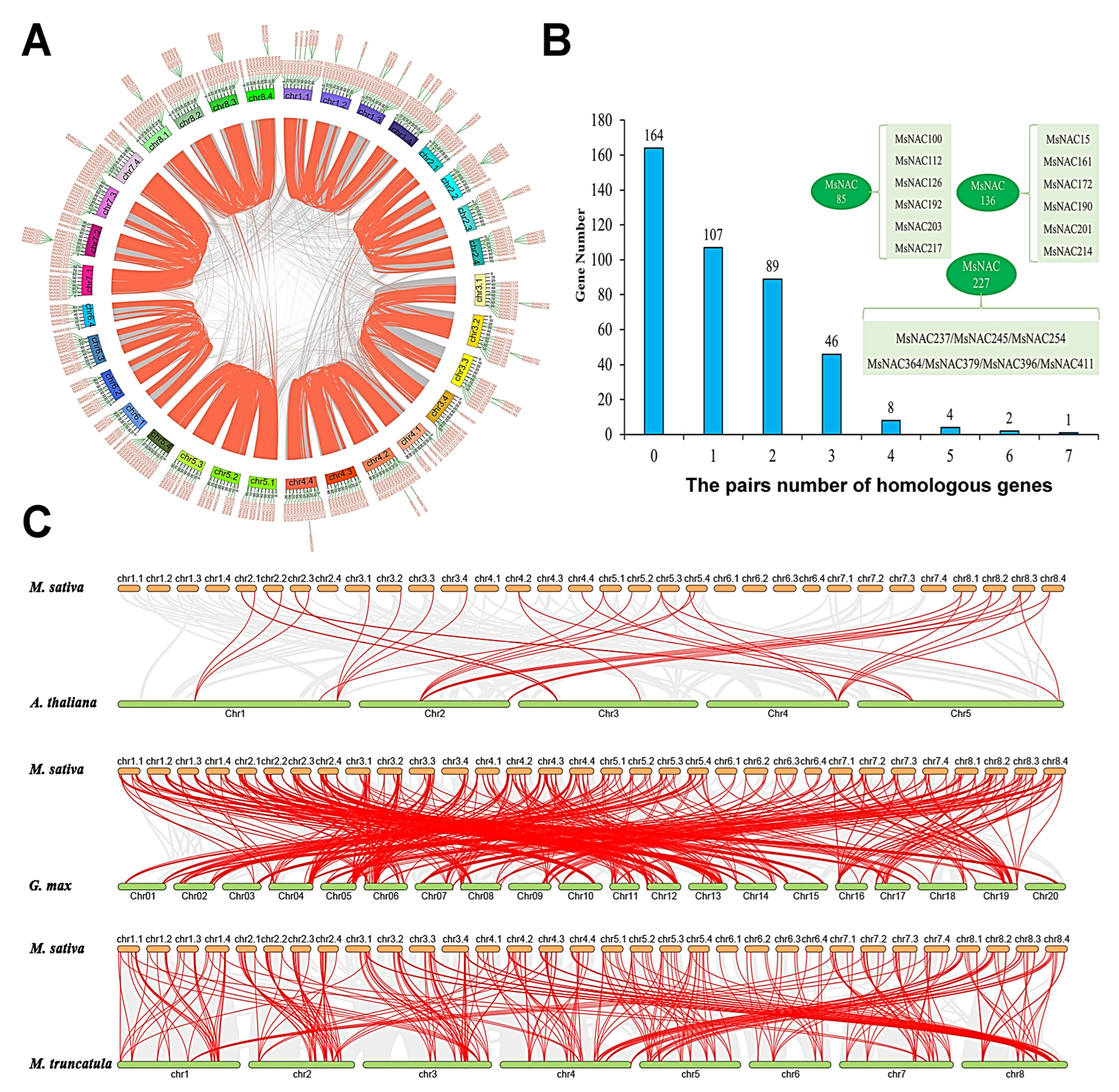 Ijms 23 10015 g004 550