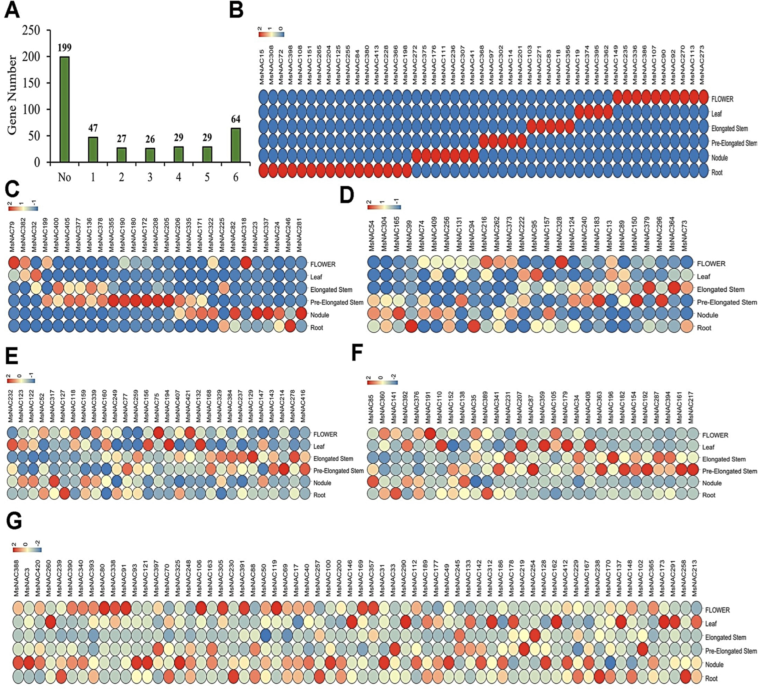 Ijms 23 10015 g005 550