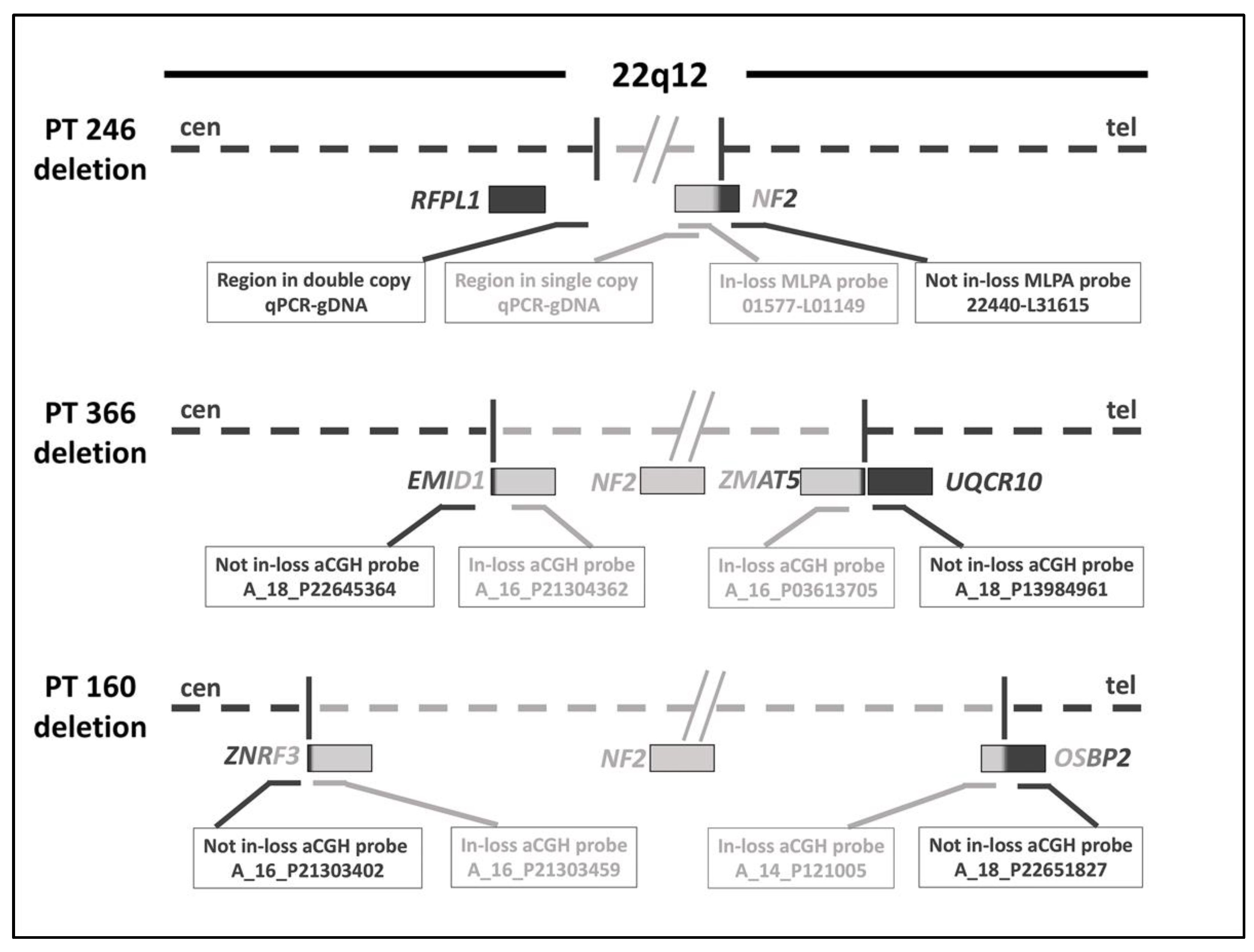 Ijms 23 10017 g001 Ijms 23 10017 g001