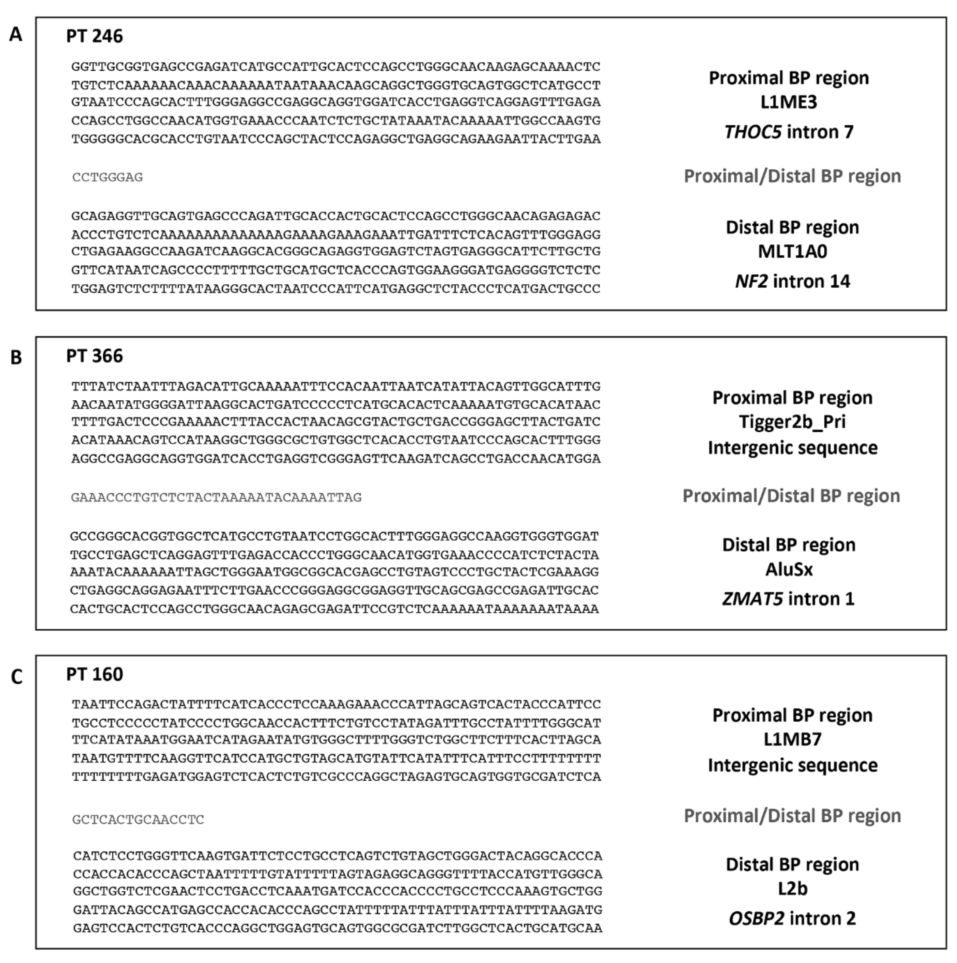 Ijms 23 10017 g002 Ijms 23 10017 g002