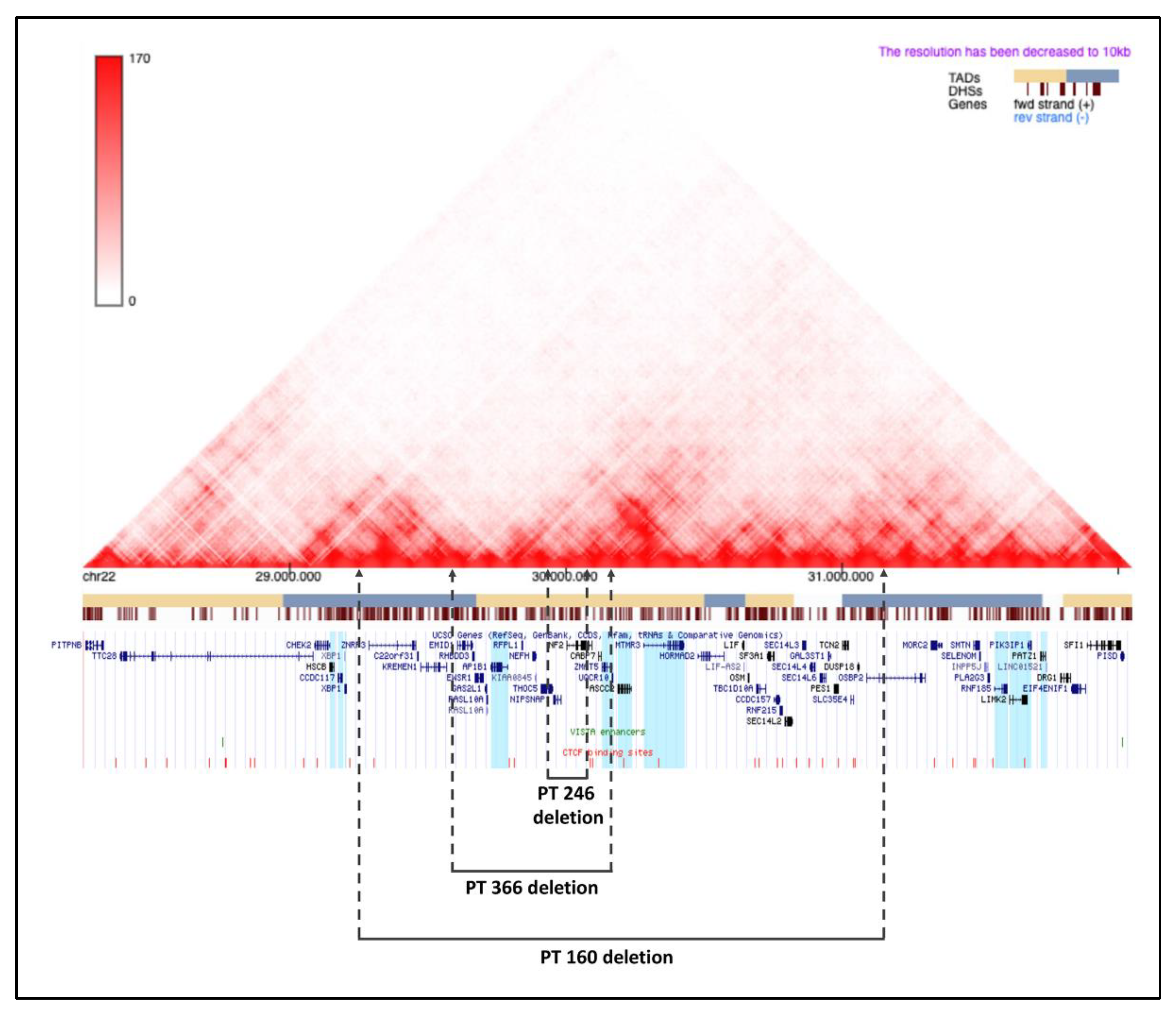Ijms 23 10017 g005 Ijms 23 10017 g005